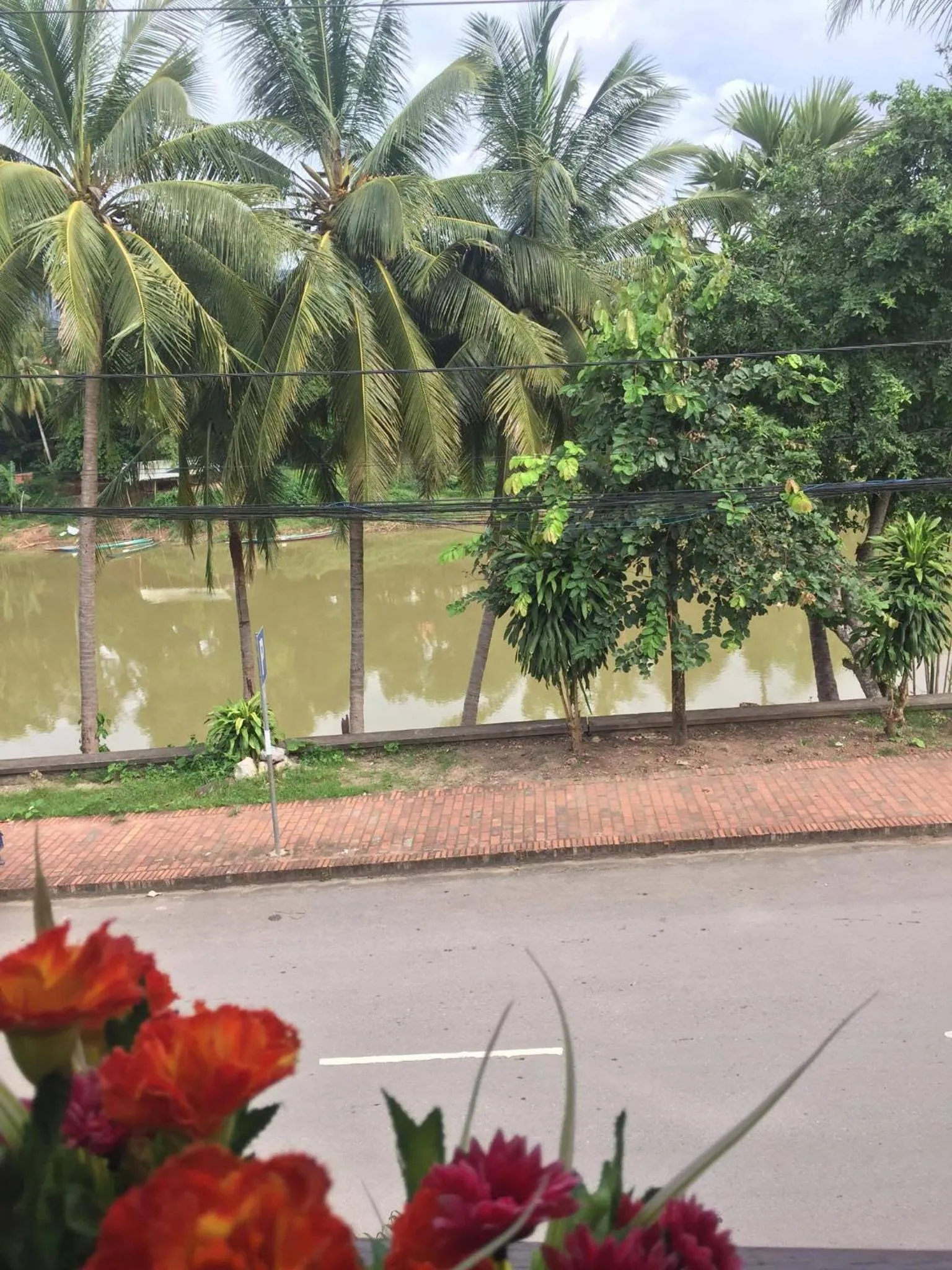 Golden Lotus Namkhan View