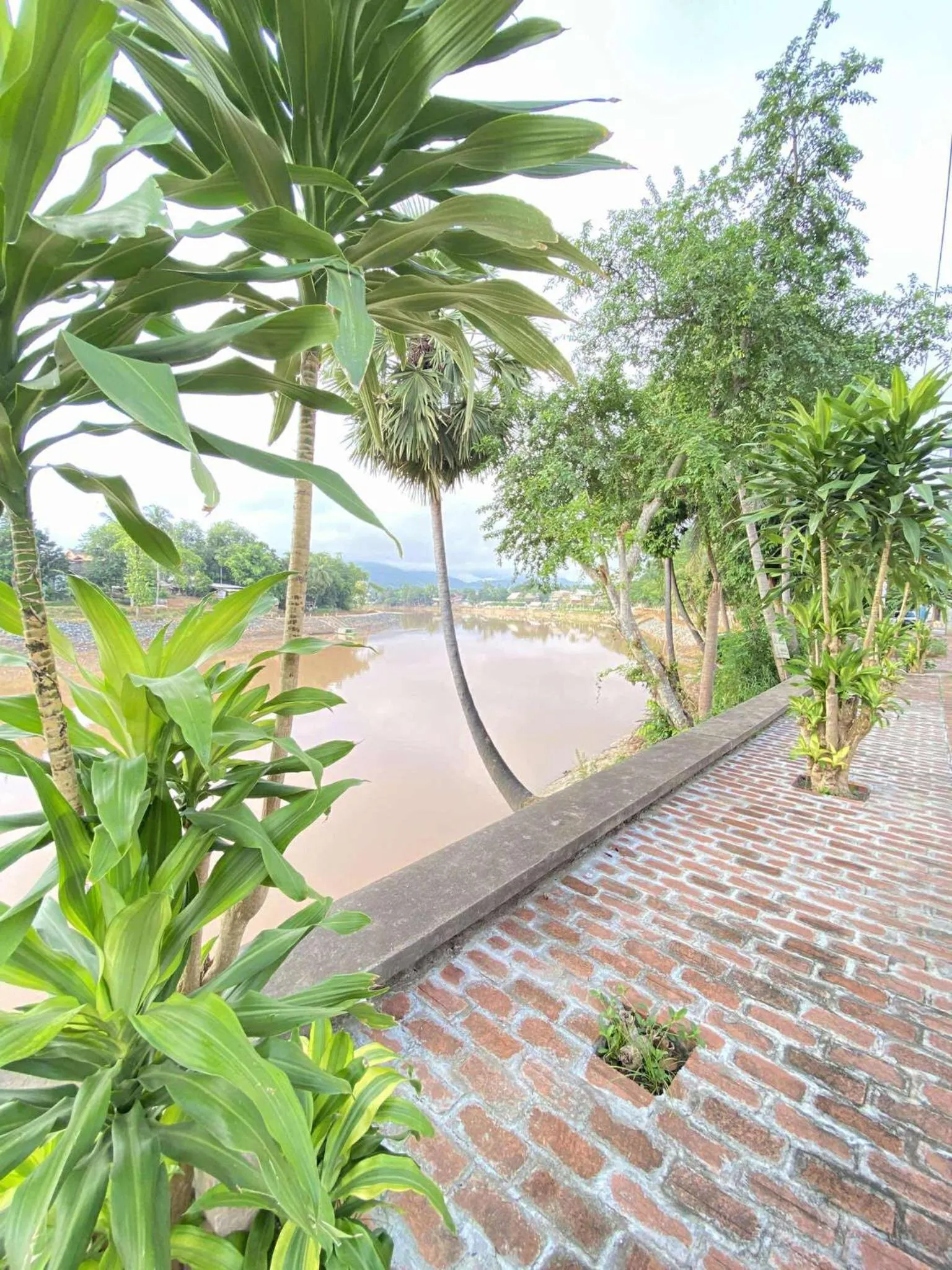 Spring in Luang Prabang Golden Lotus Villa River View