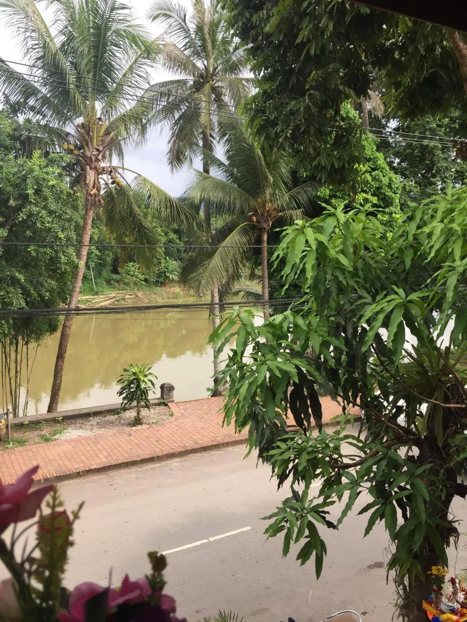 Golden Lotus Namkhan View Golden Lotus Namkhan View