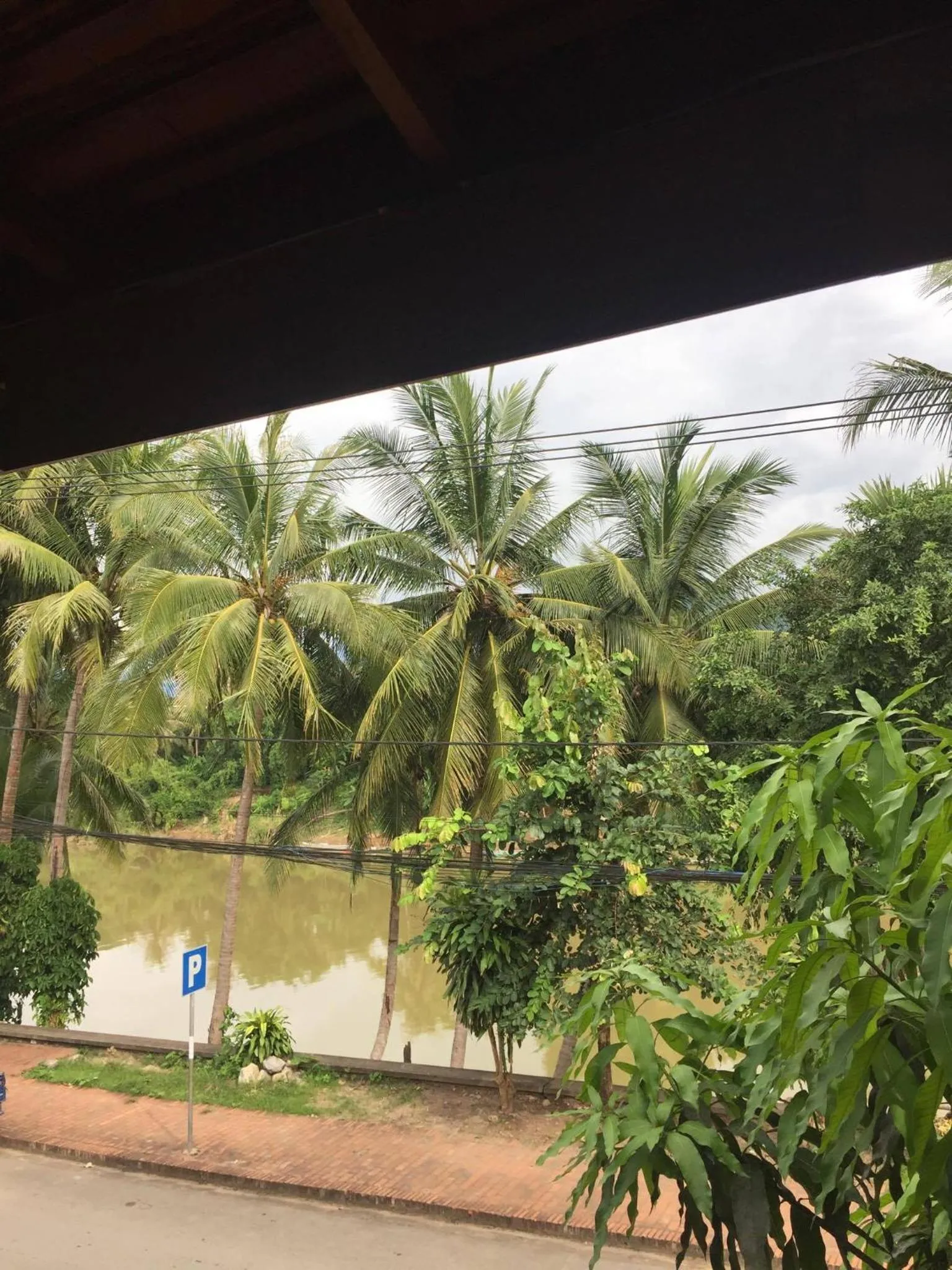 Golden Lotus Namkhan View