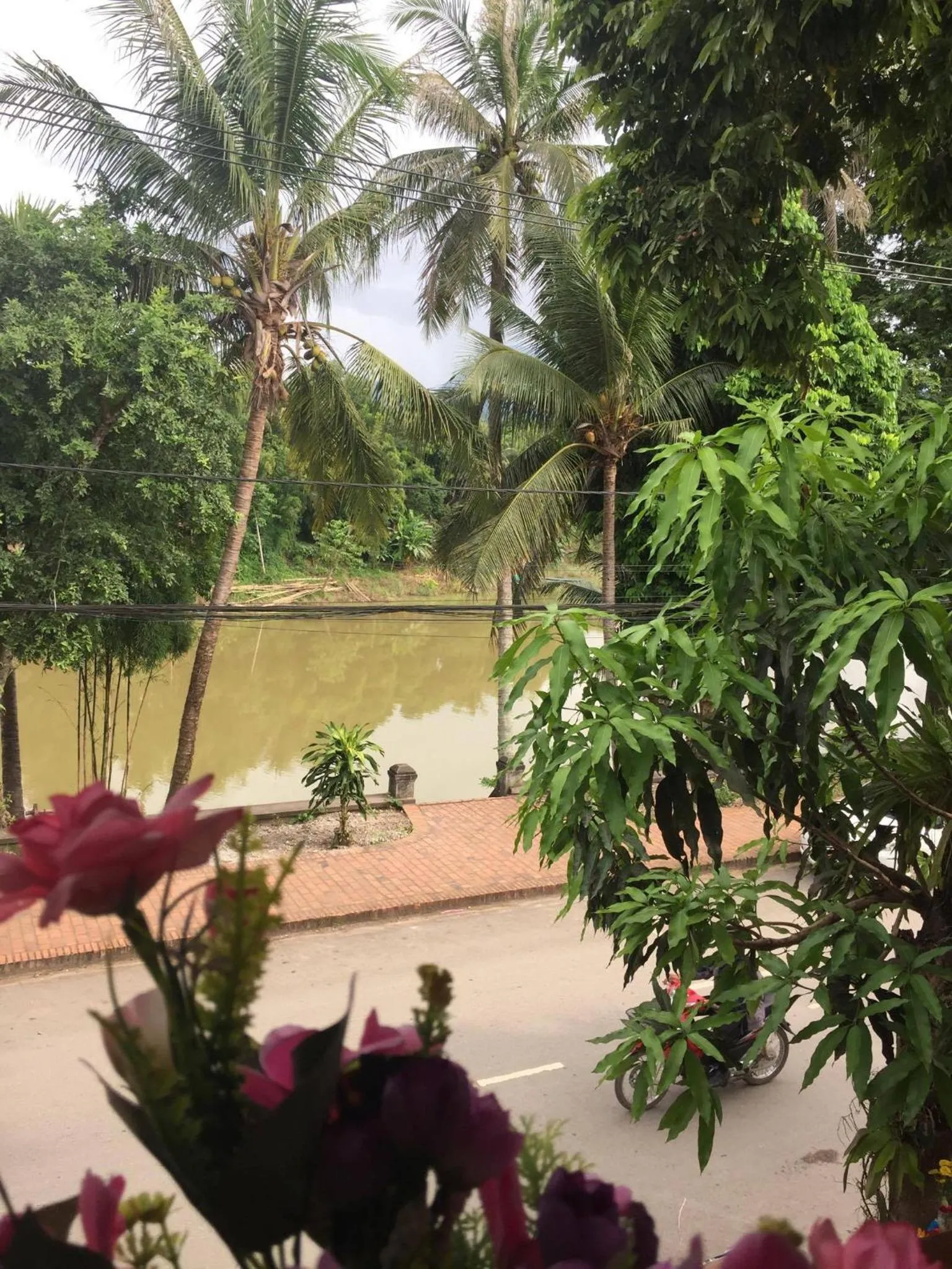 Golden Lotus Namkhan View