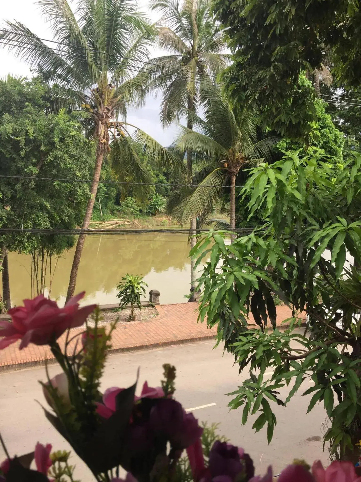 Golden Lotus Namkhan View Golden Lotus Namkhan View