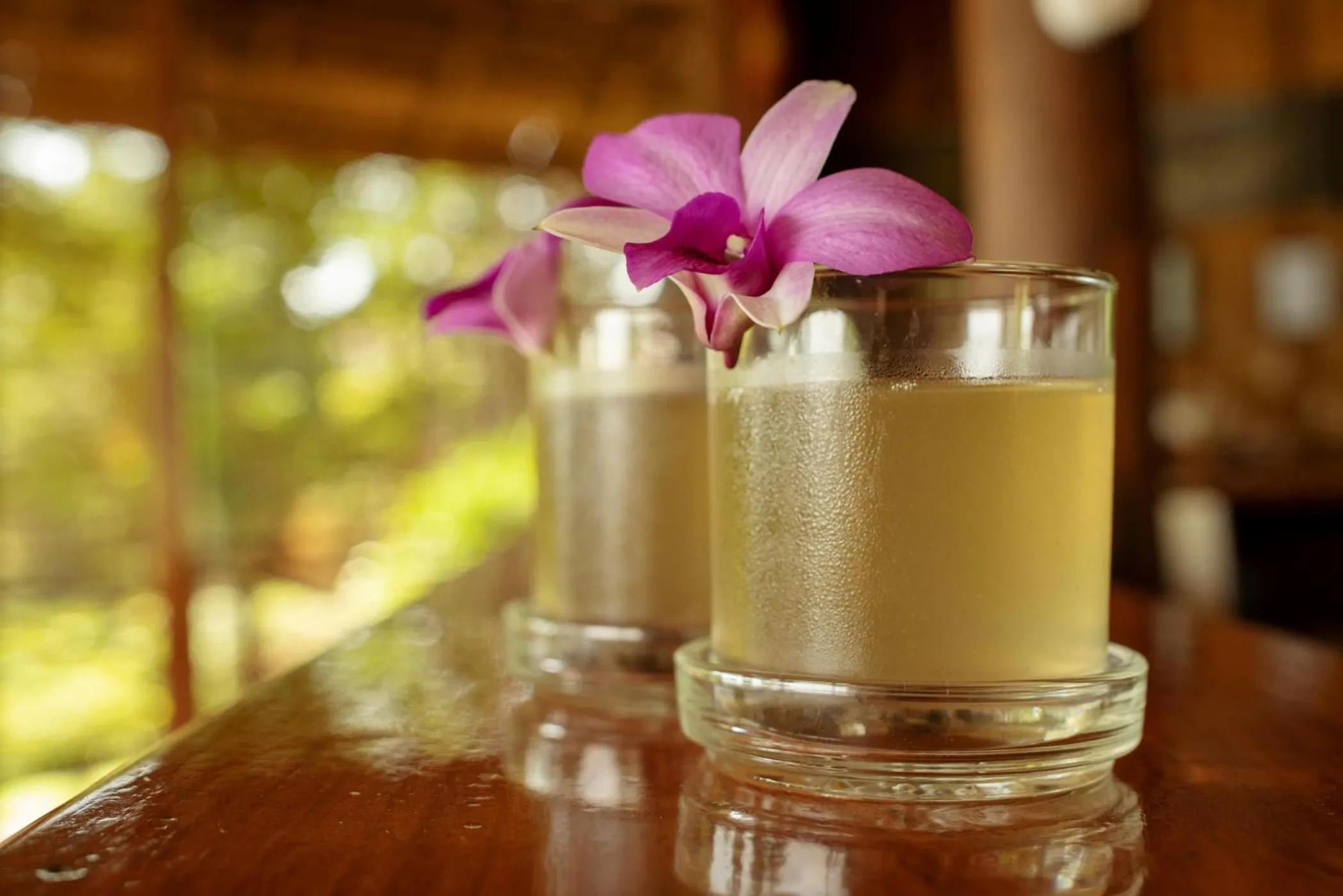 Drinks in Kingfisher Ecolodge