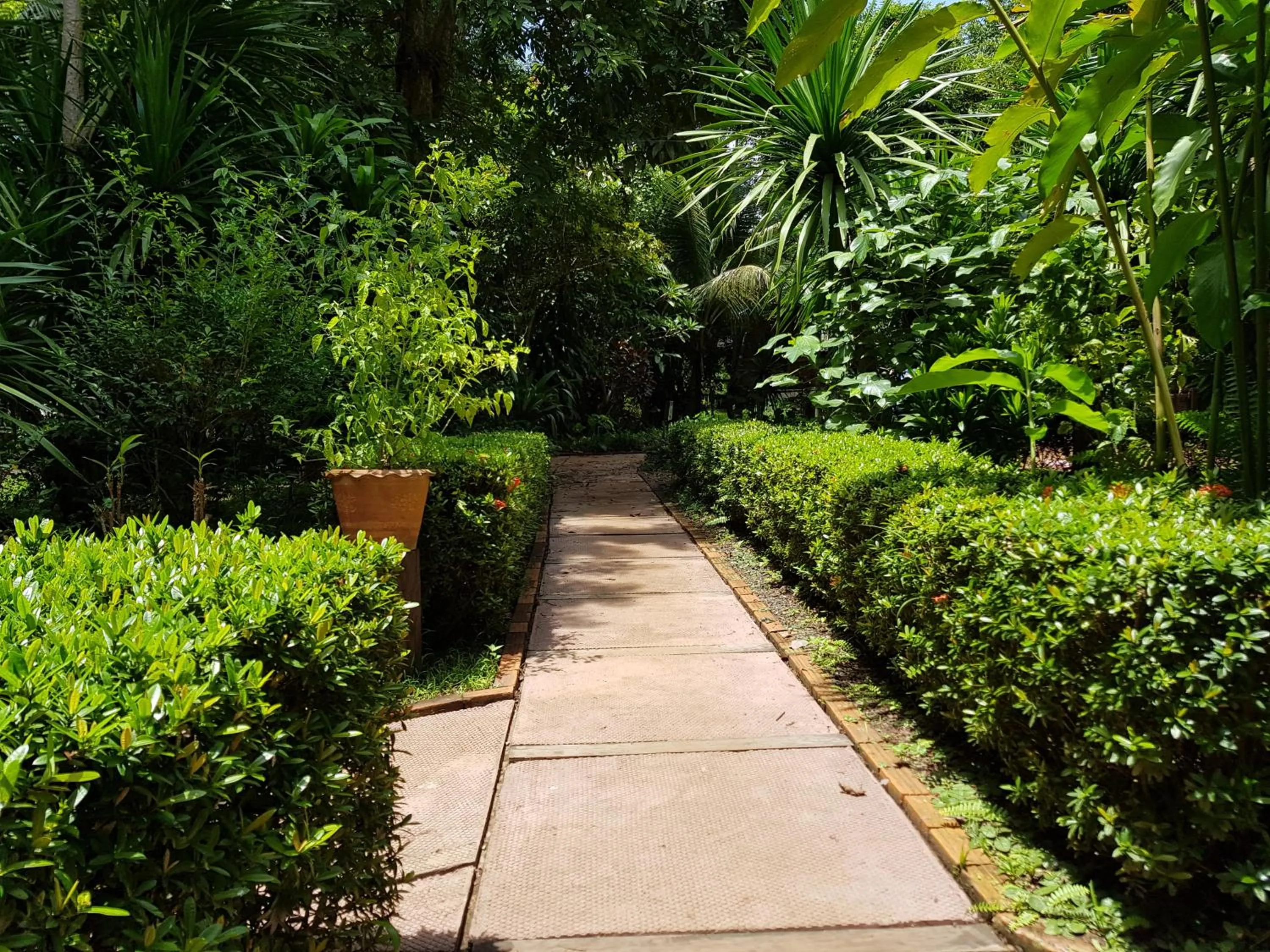 Garden in Kingfisher Ecolodge