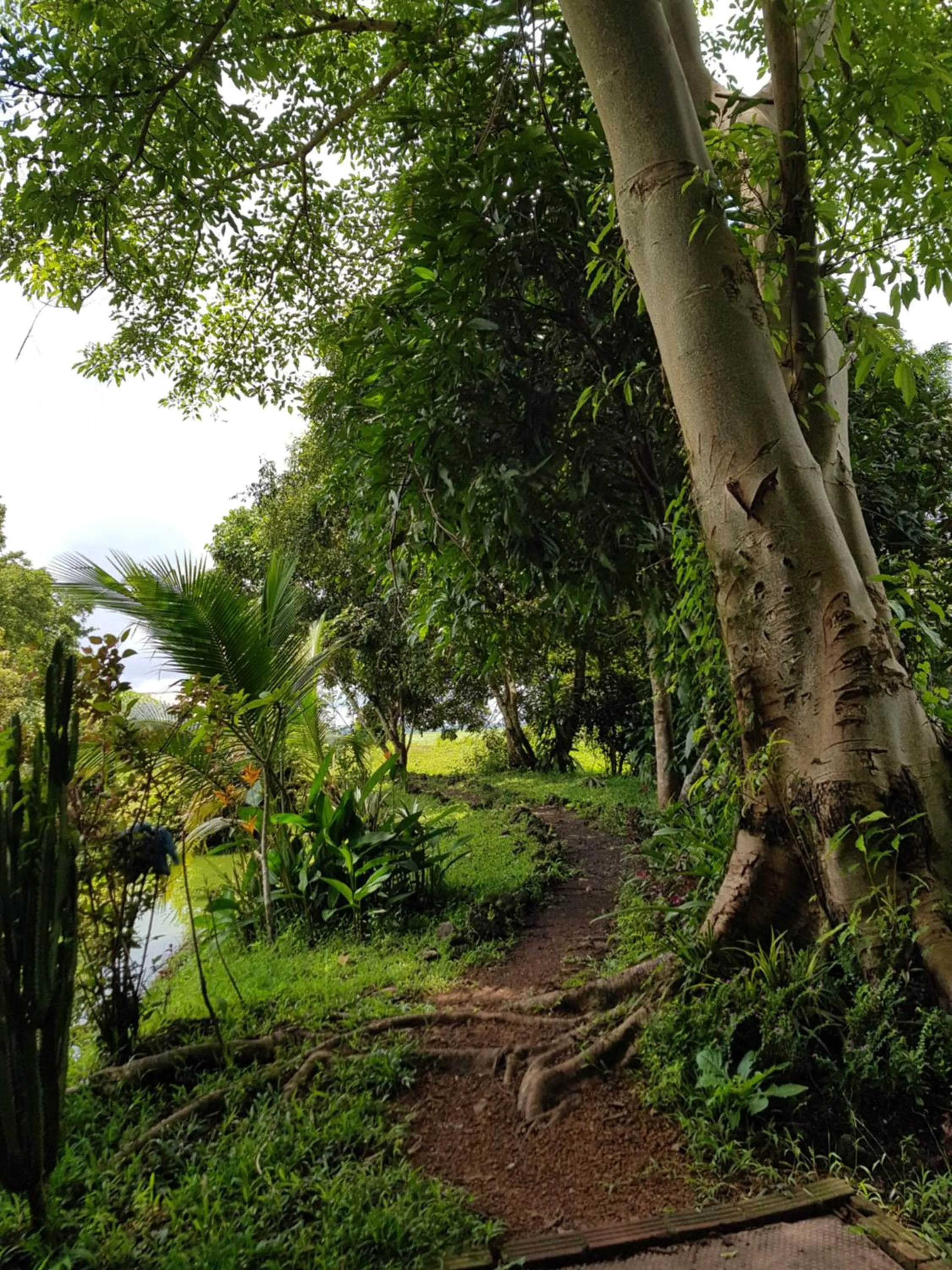 Natural landscape in Kingfisher Ecolodge