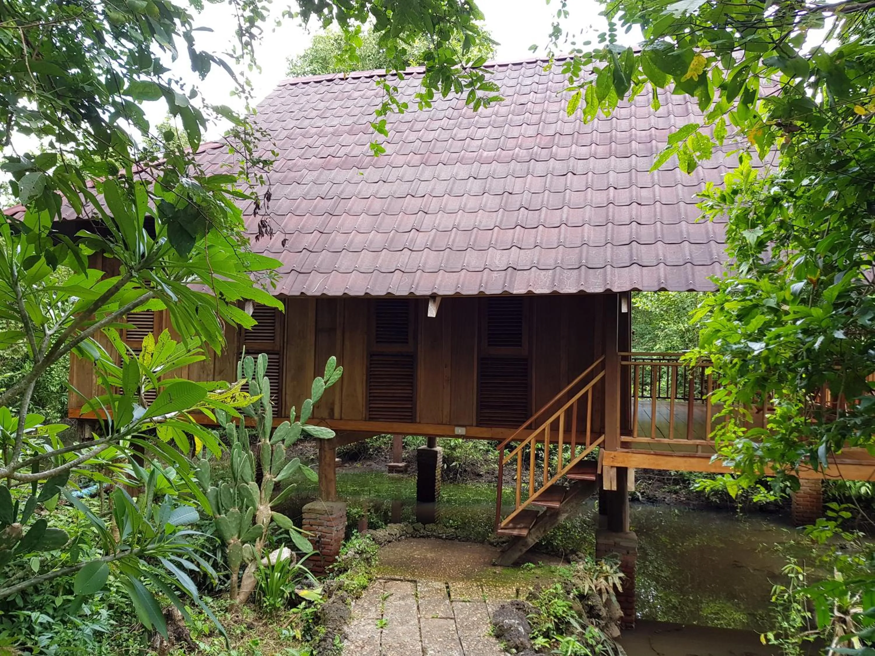 Area and facilities in Kingfisher Ecolodge