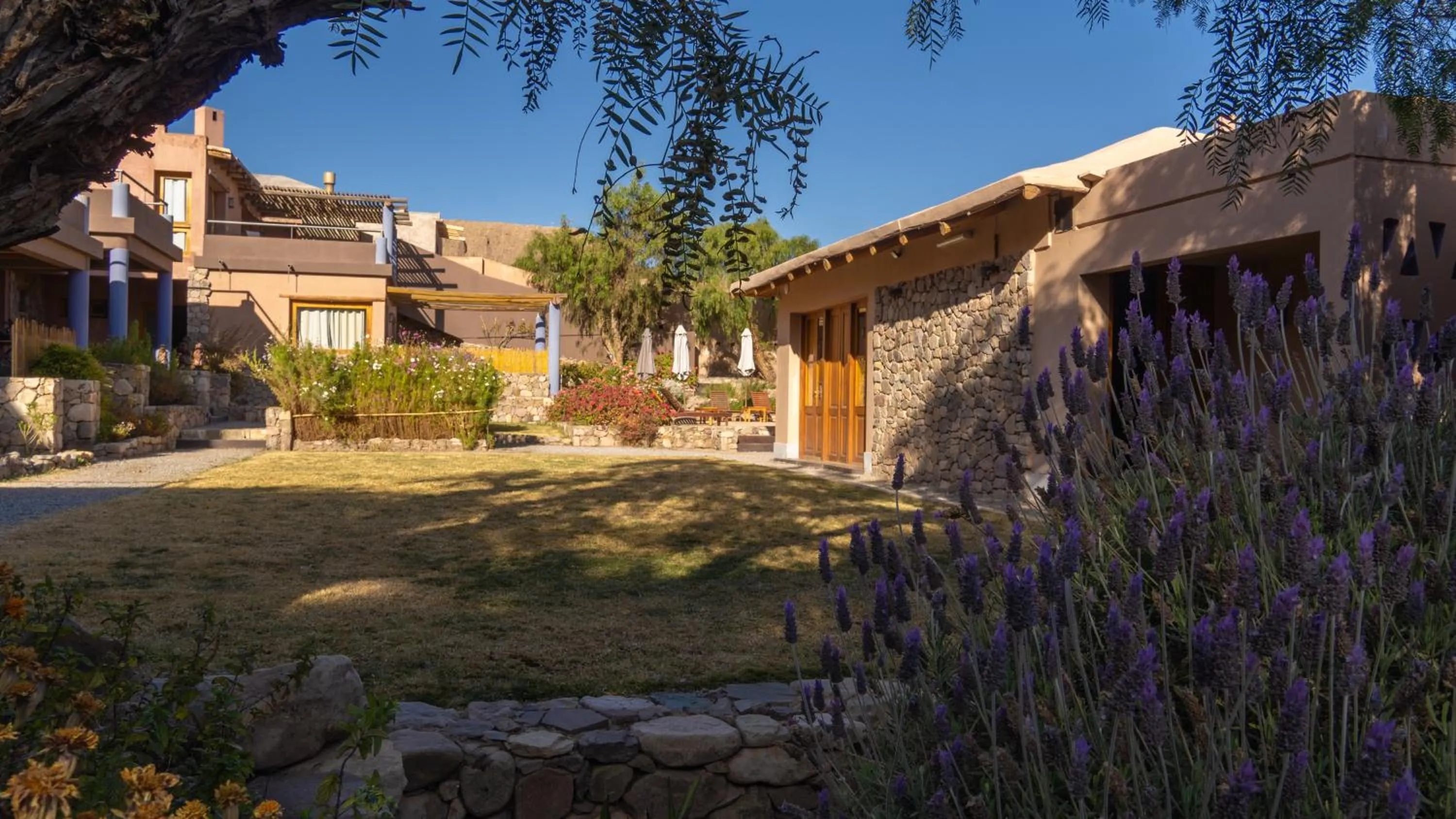 Garden in Las Marías Hotel Boutique