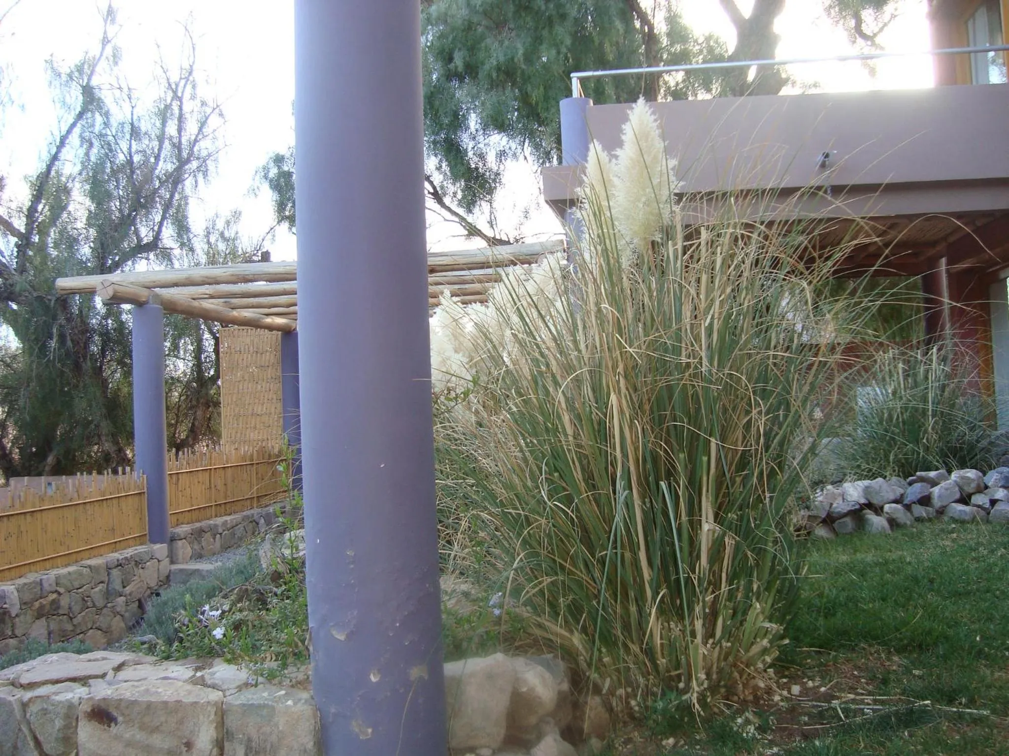 Garden view in Las Marías Hotel Boutique