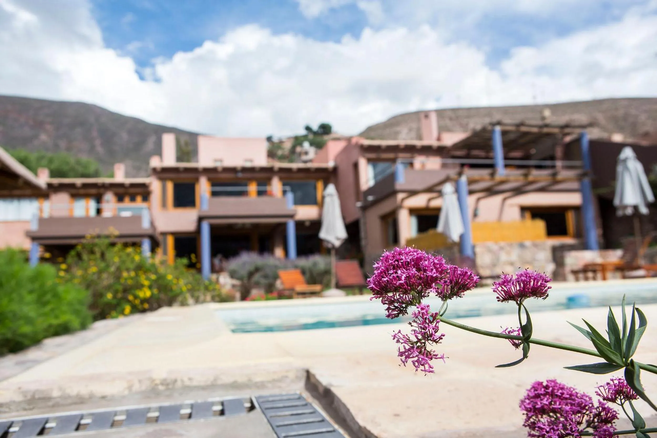 Swimming pool in Las Marías Hotel Boutique