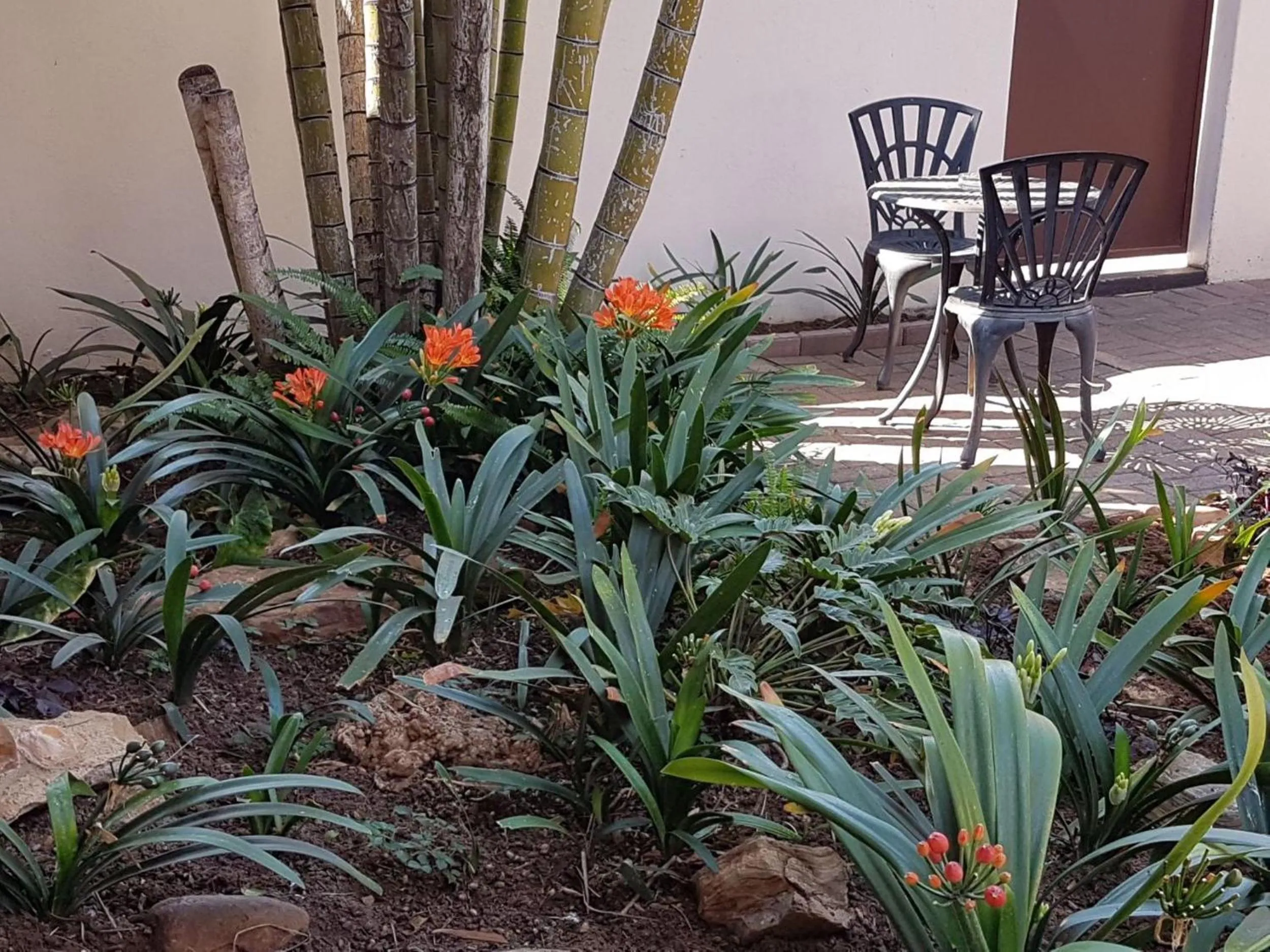 Garden in Marlot Guest House