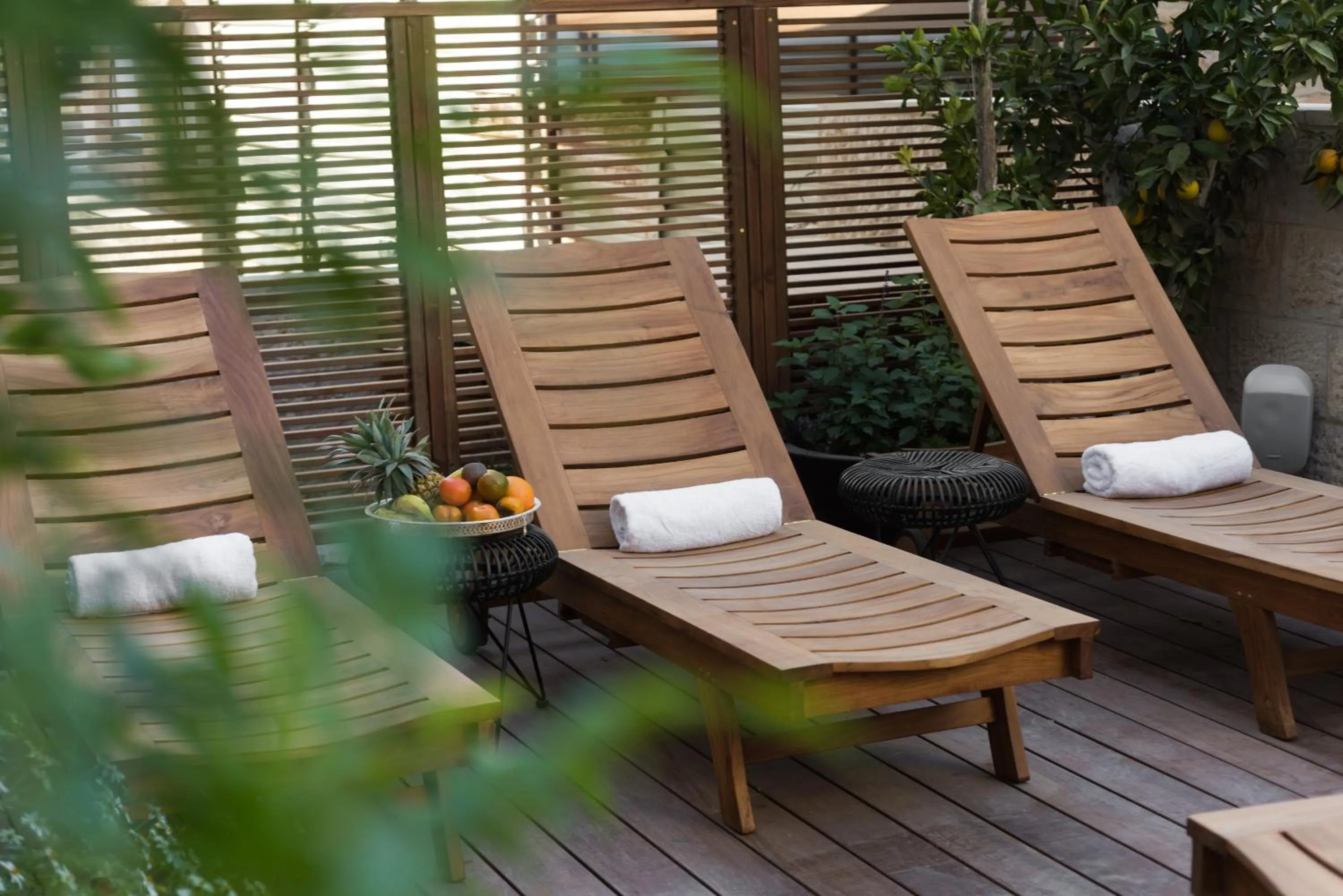 Garden in Leonardo Boutique Jerusalem