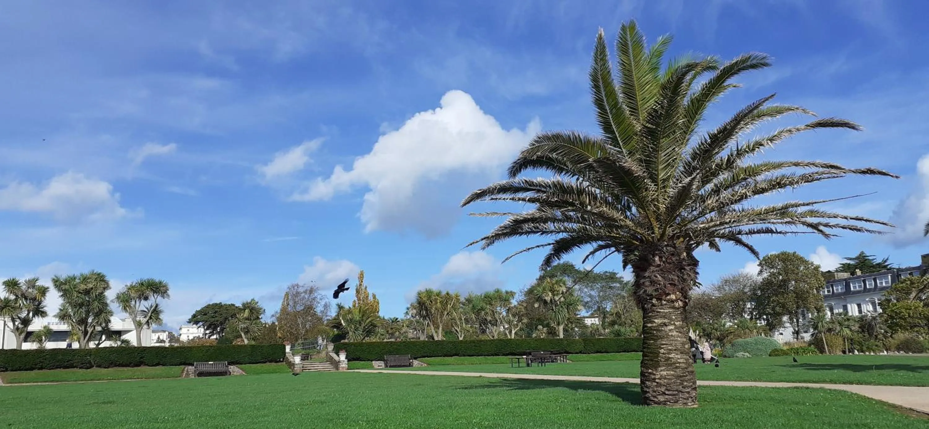 Location in The Briarfields