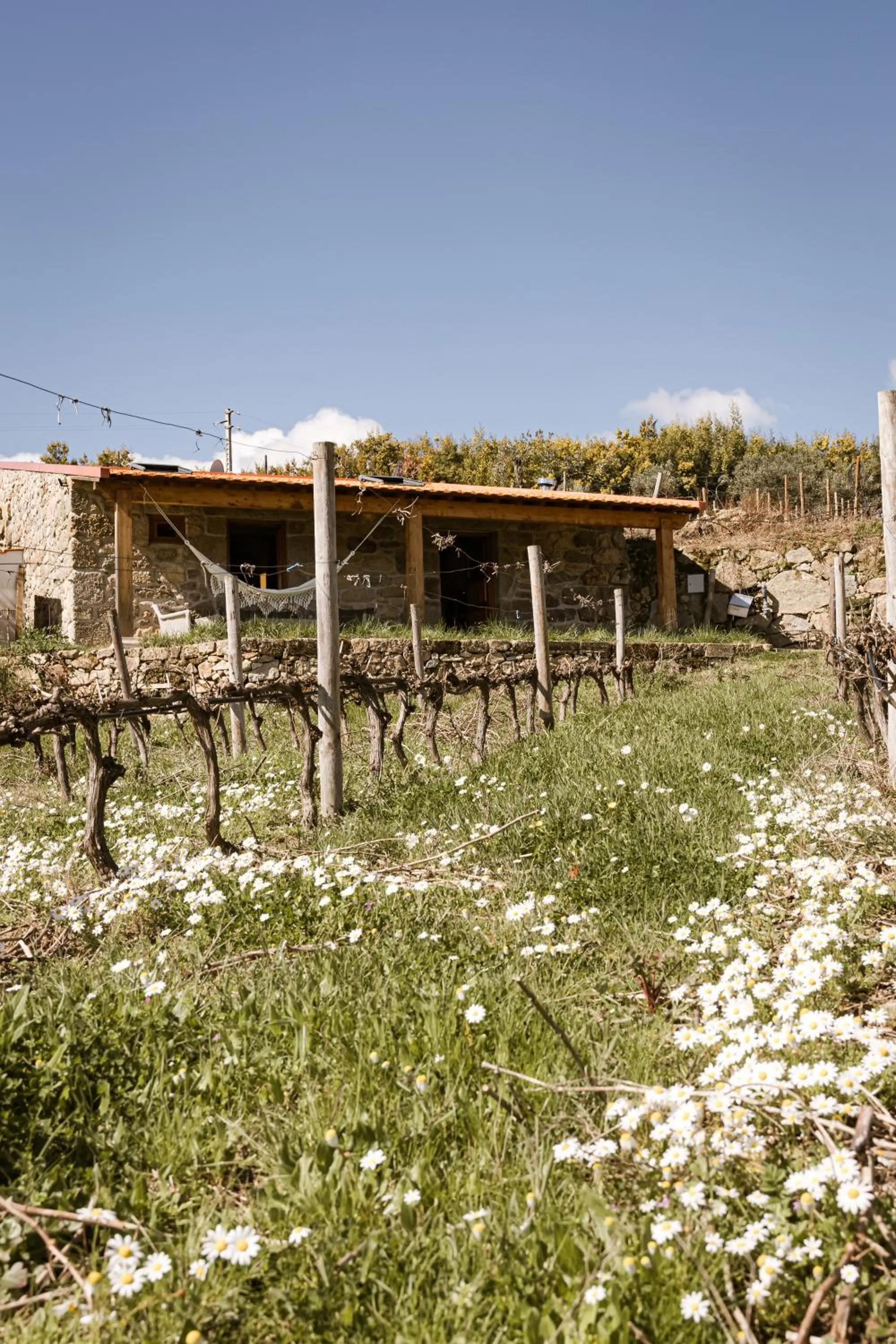 Quinta da Portela - Casa Visconde Arneiros - by RowdHouses