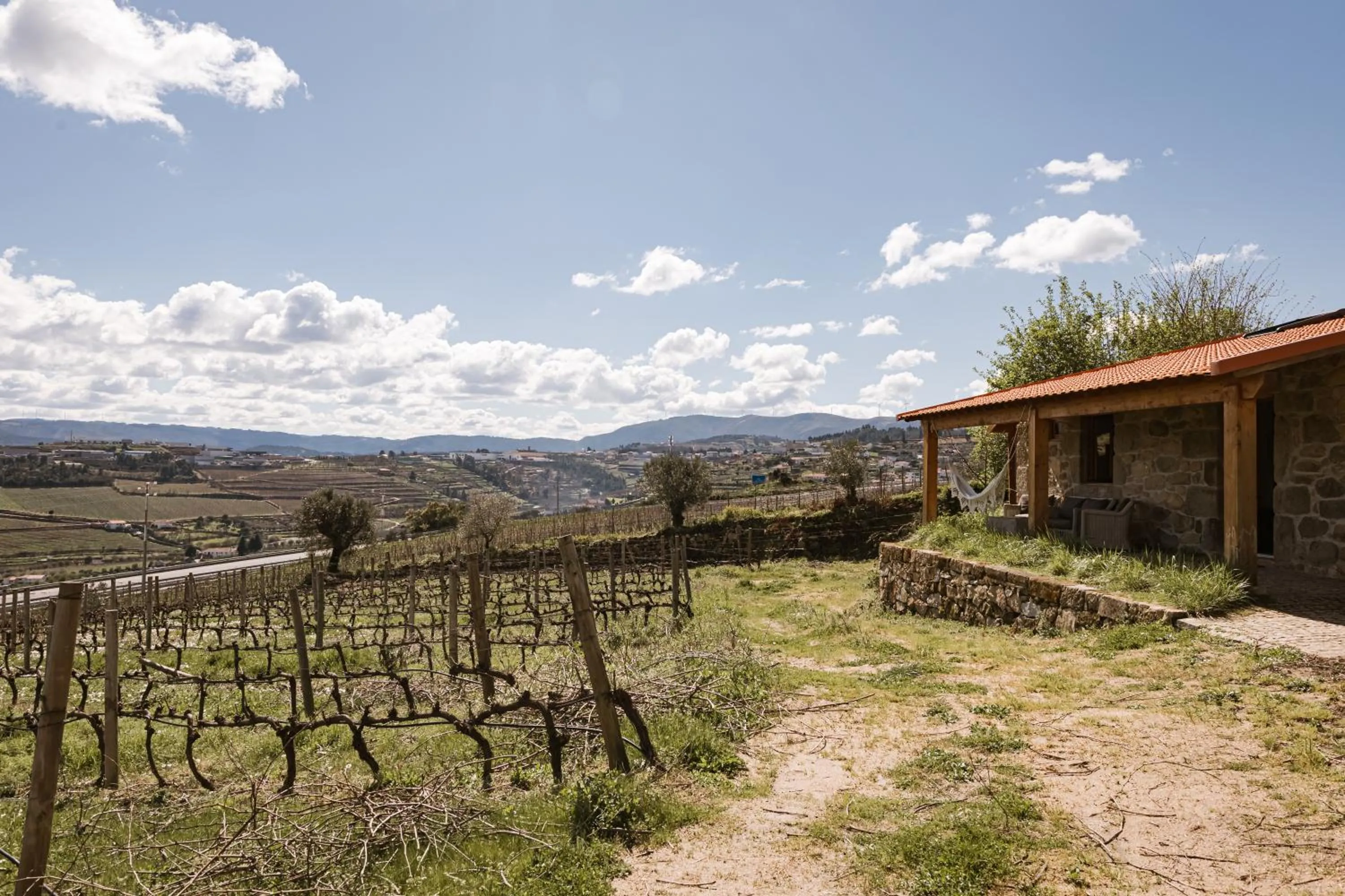 Quinta da Portela - Casa Visconde Arneiros - by RowdHouses