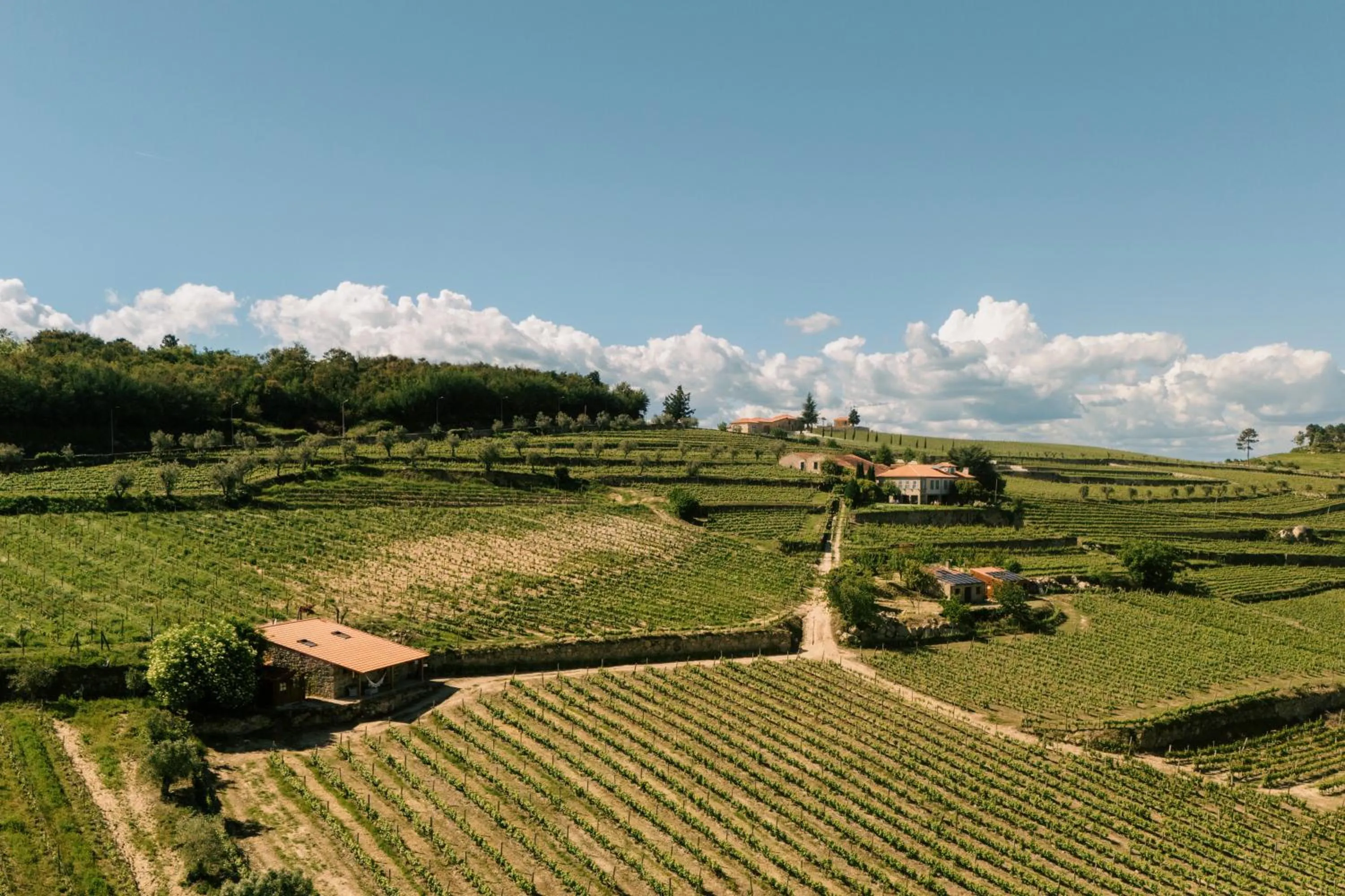 Quinta da Portela - Casa Visconde Arneiros - by RowdHouses