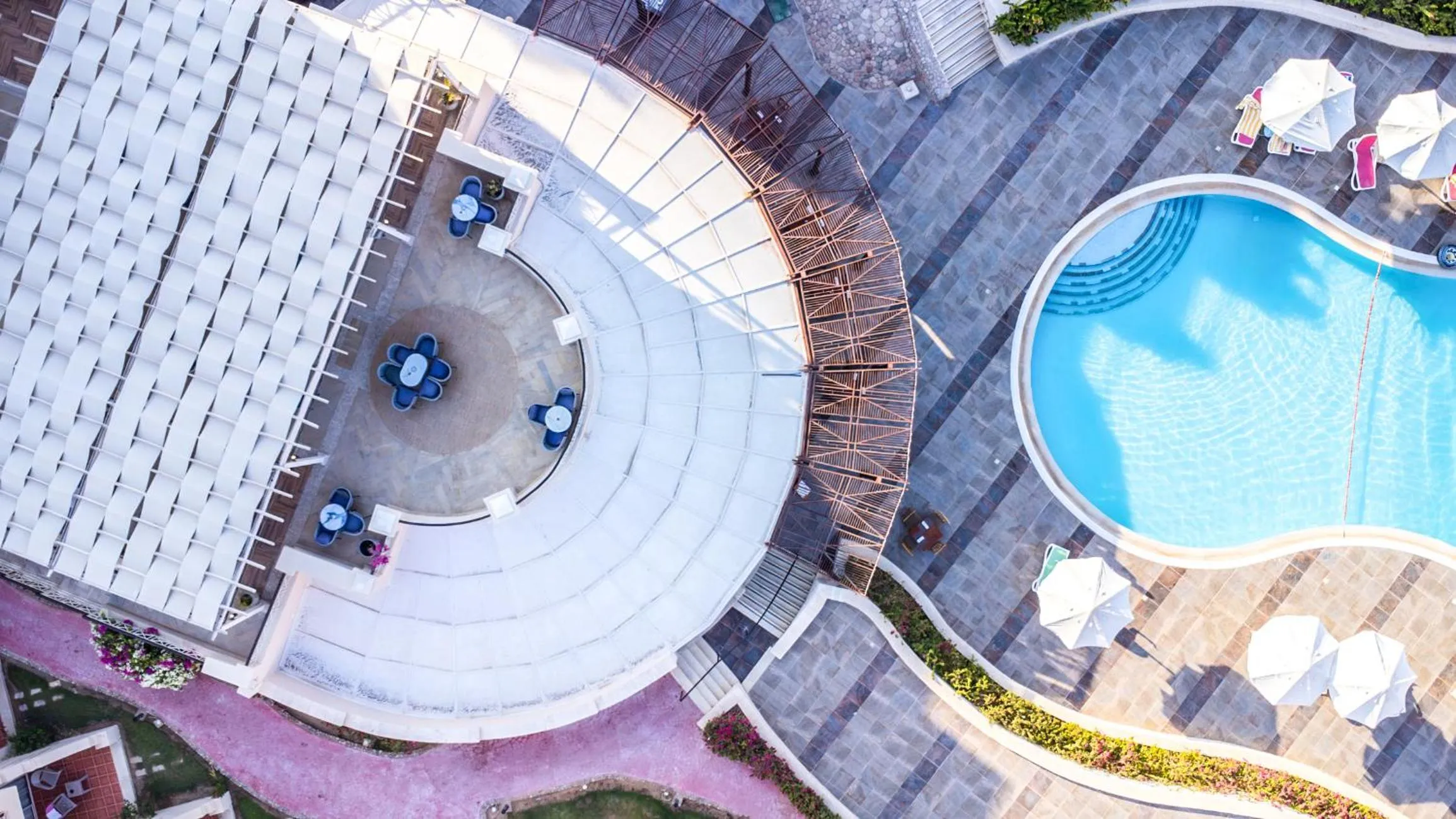 Lounge or bar in Ivy Cyrene Sharm Resort Adults Friendly Plus 13