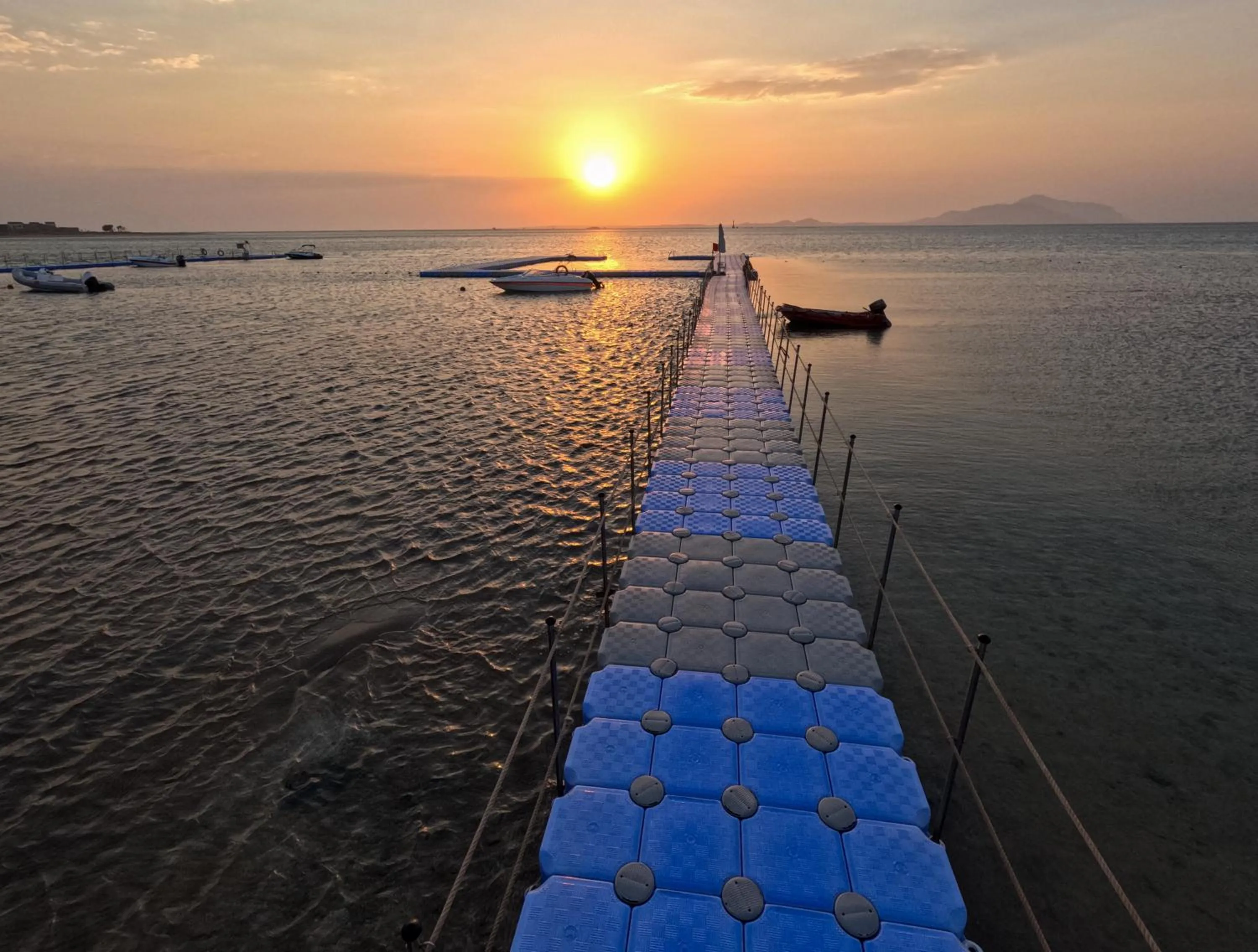 Beach in Ivy Cyrene Sharm Resort Adults Friendly Plus 13