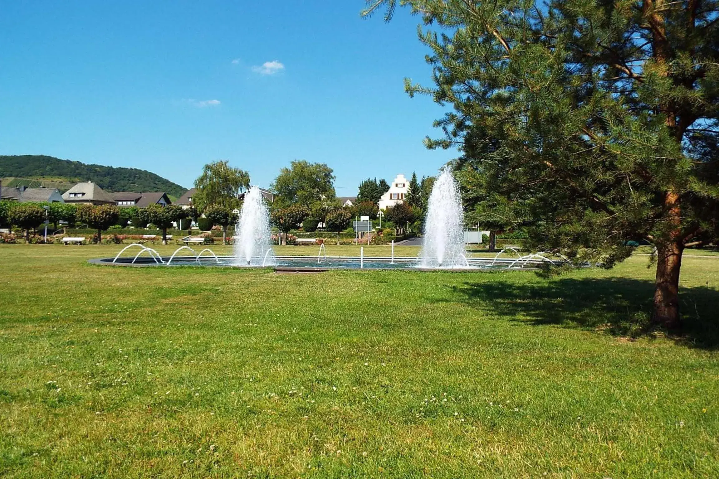 Single Room in Park-Hotel Single Room in Park-Hotel