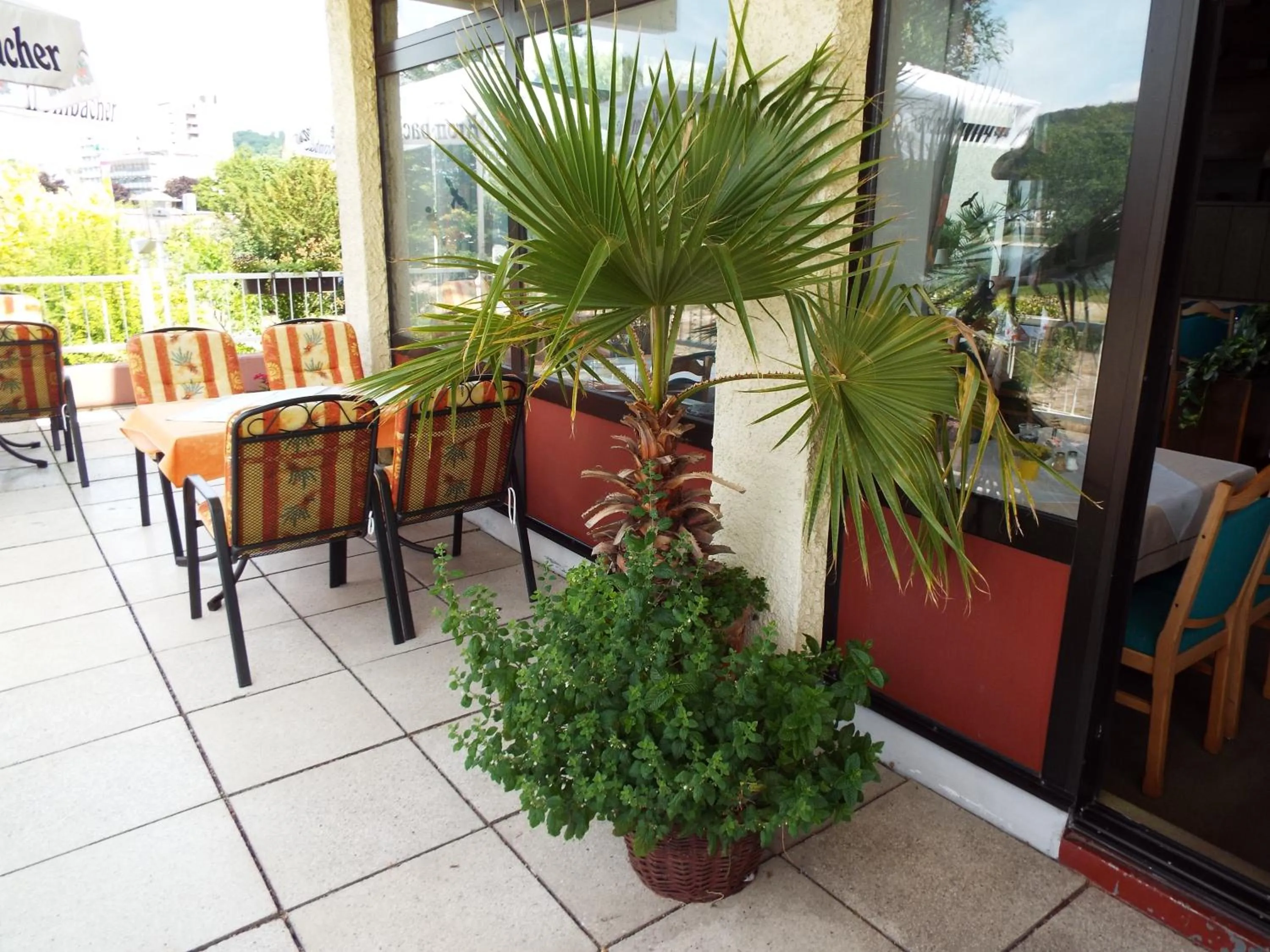 Balcony/Terrace in Park-Hotel