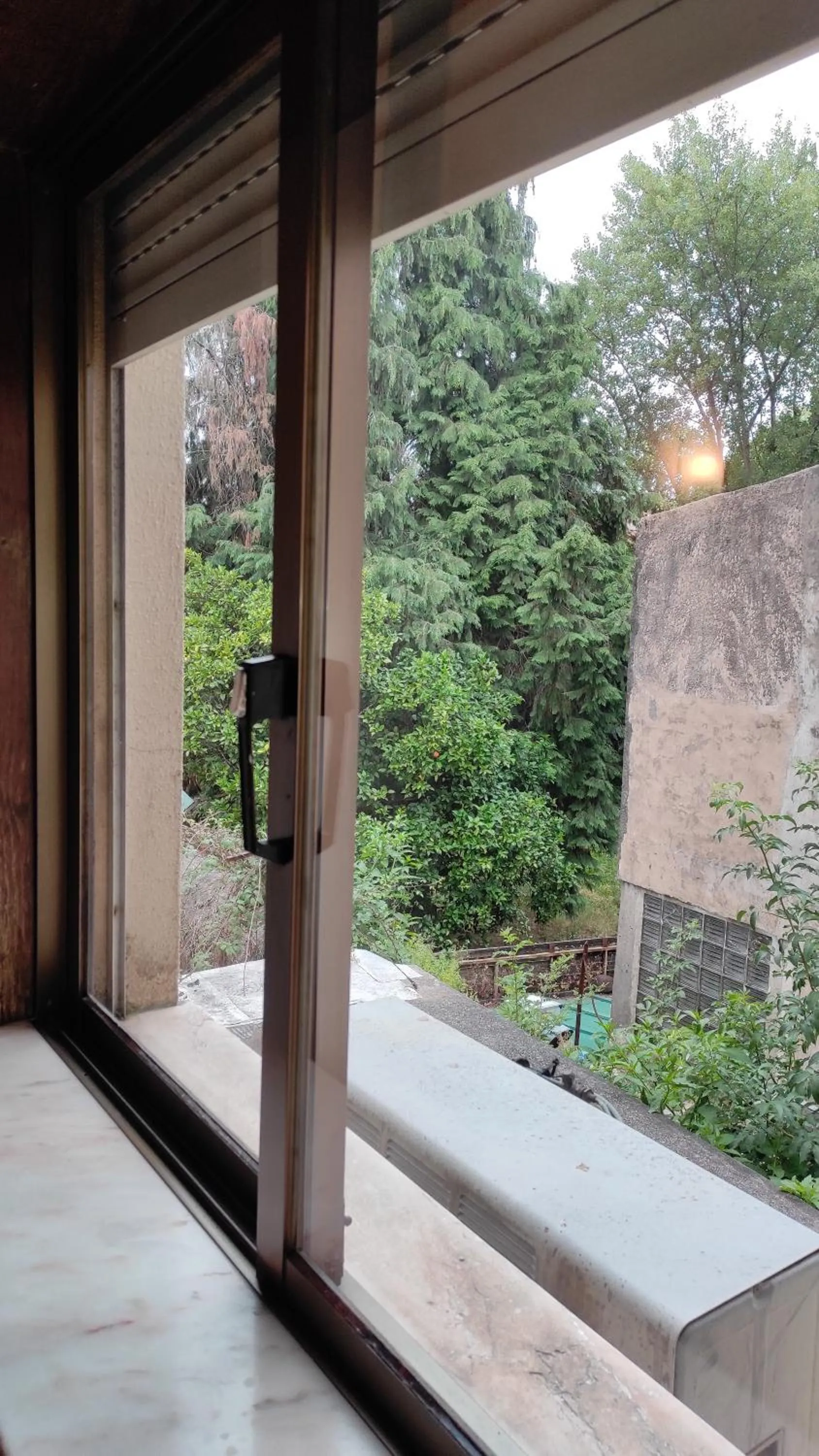 Garden view in Terrace House