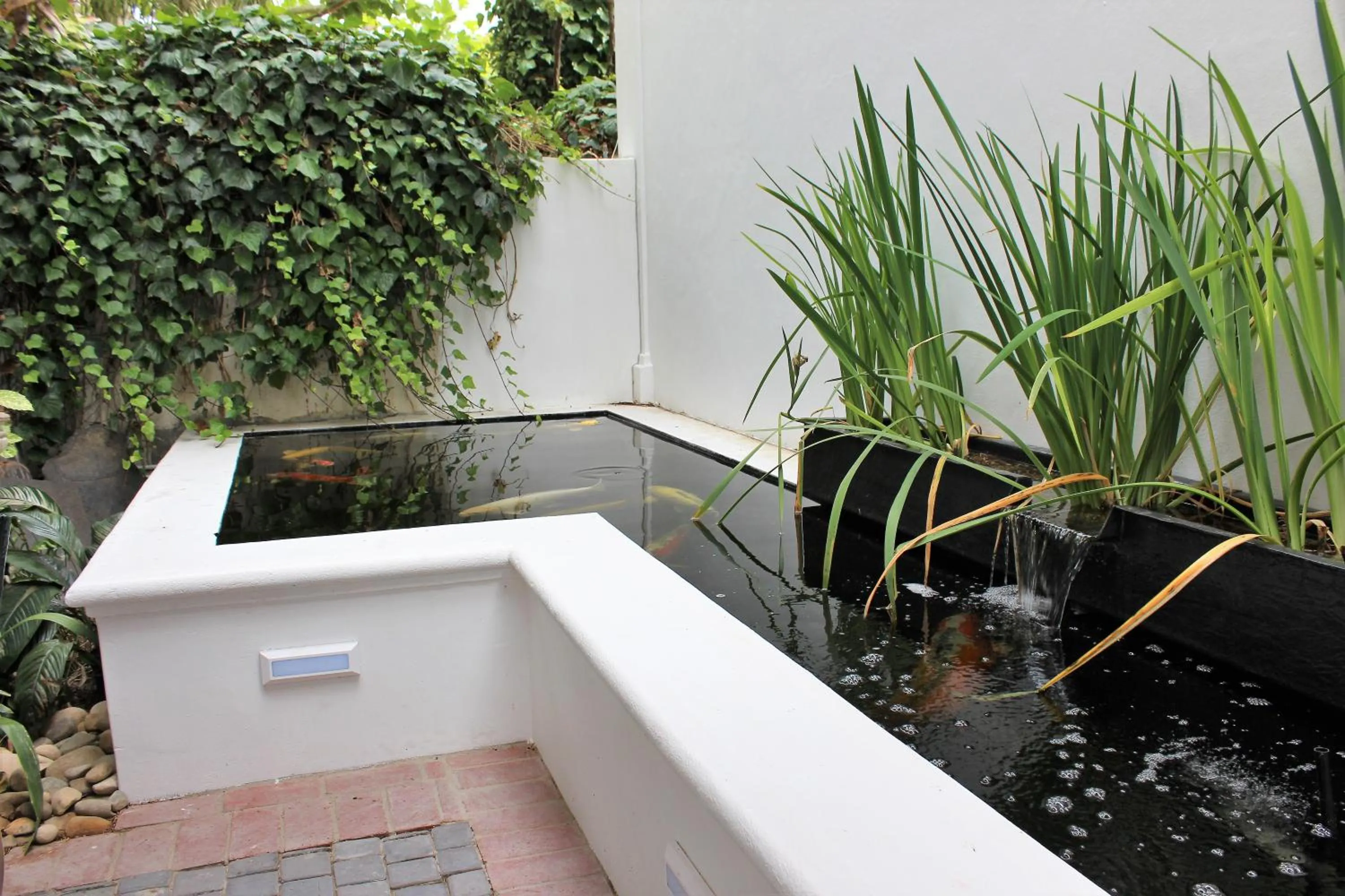 Animals in Van der Stel Manor