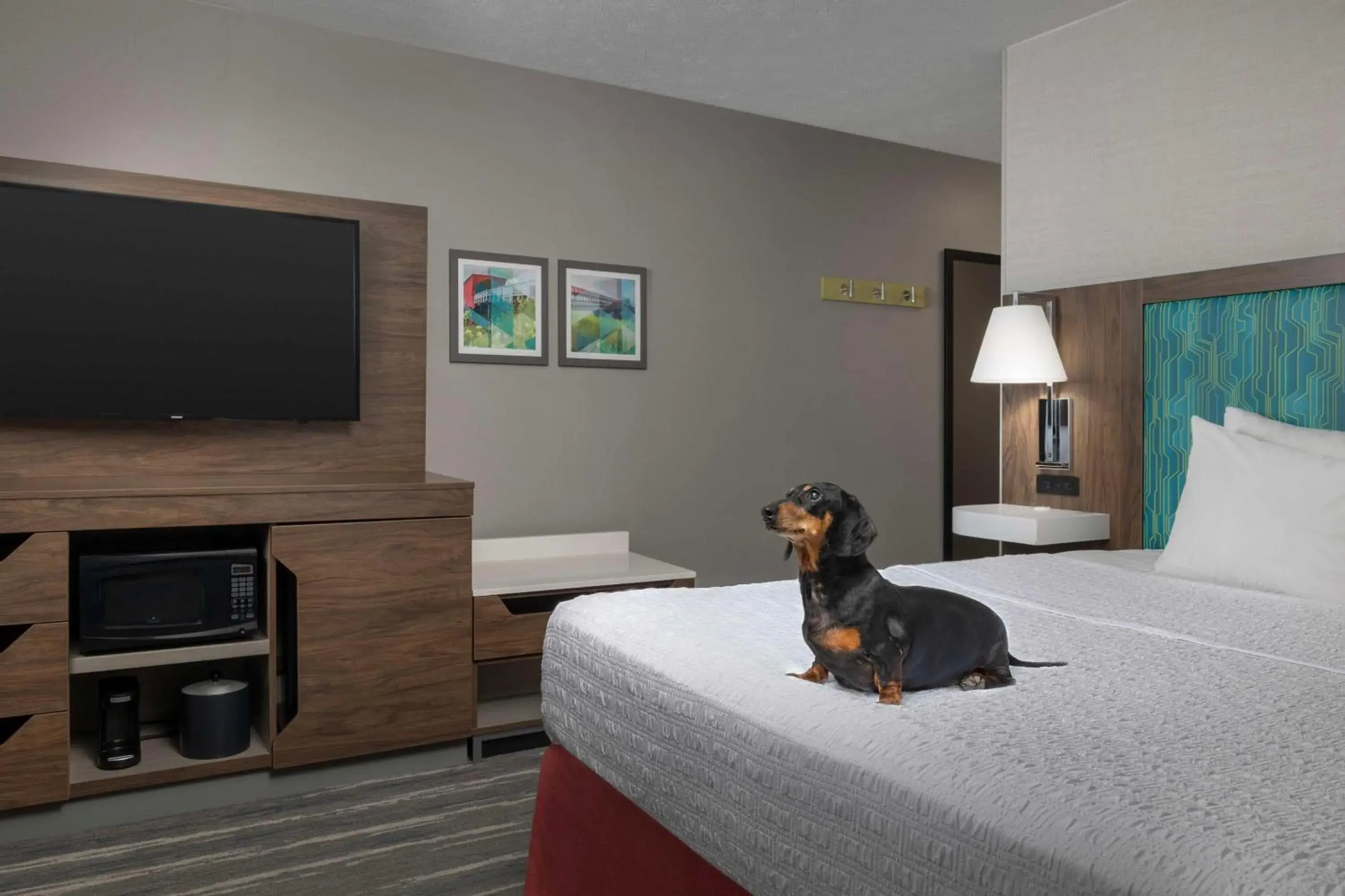 Bed in Hampton Inn Waterloo Bed in Hampton Inn Waterloo