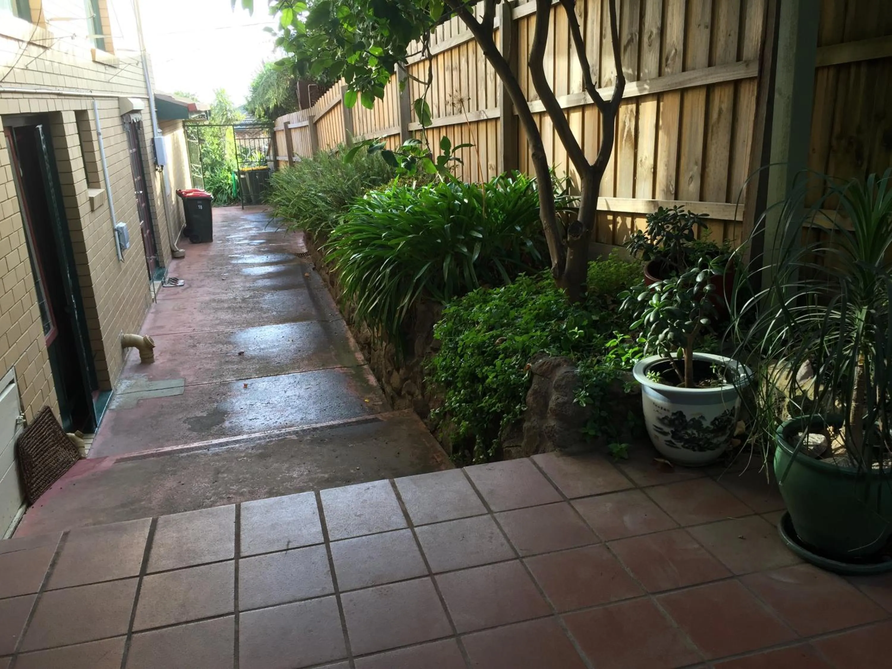 Garden in ADA Homestay