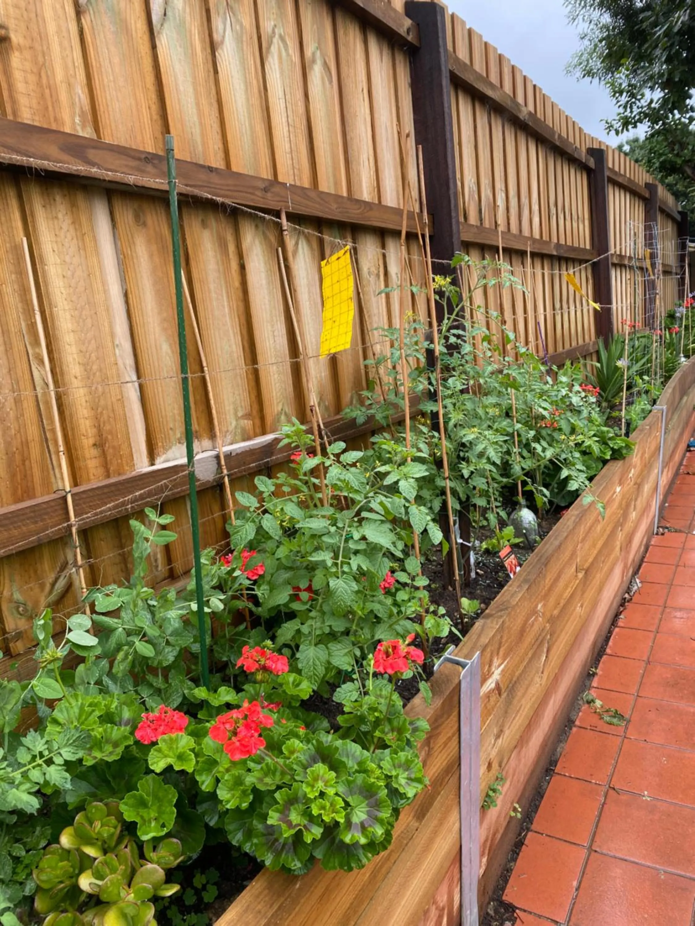 Garden in ADA Homestay