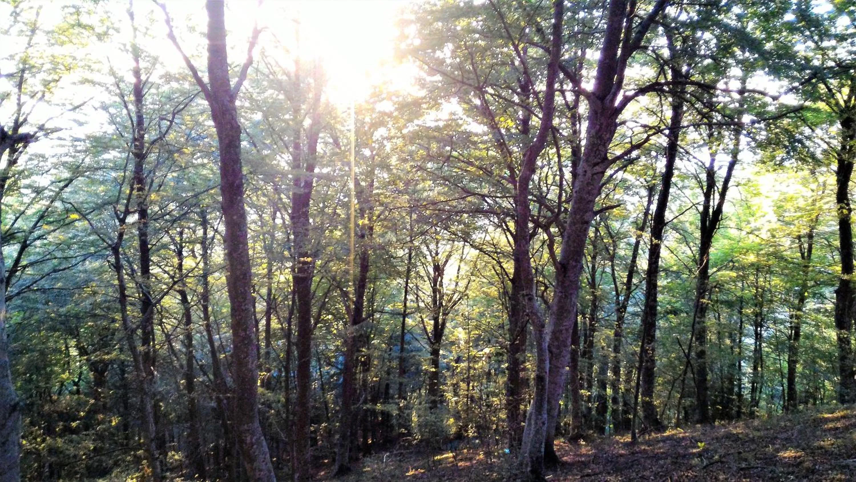 Hiking in Casa Isabela luxury rooms