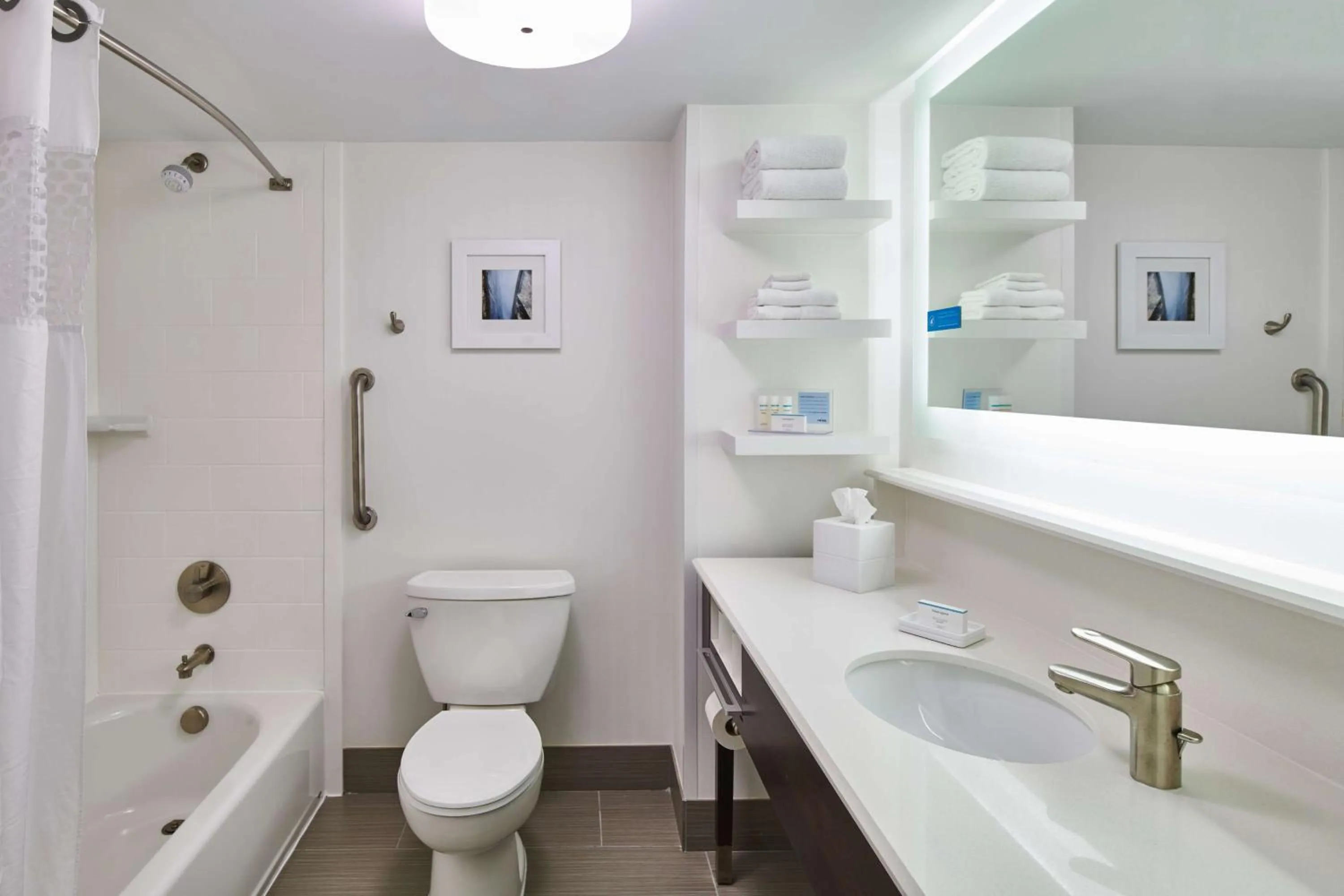 Bathroom in Hampton Inn & Suites Chapel Hill/Durham