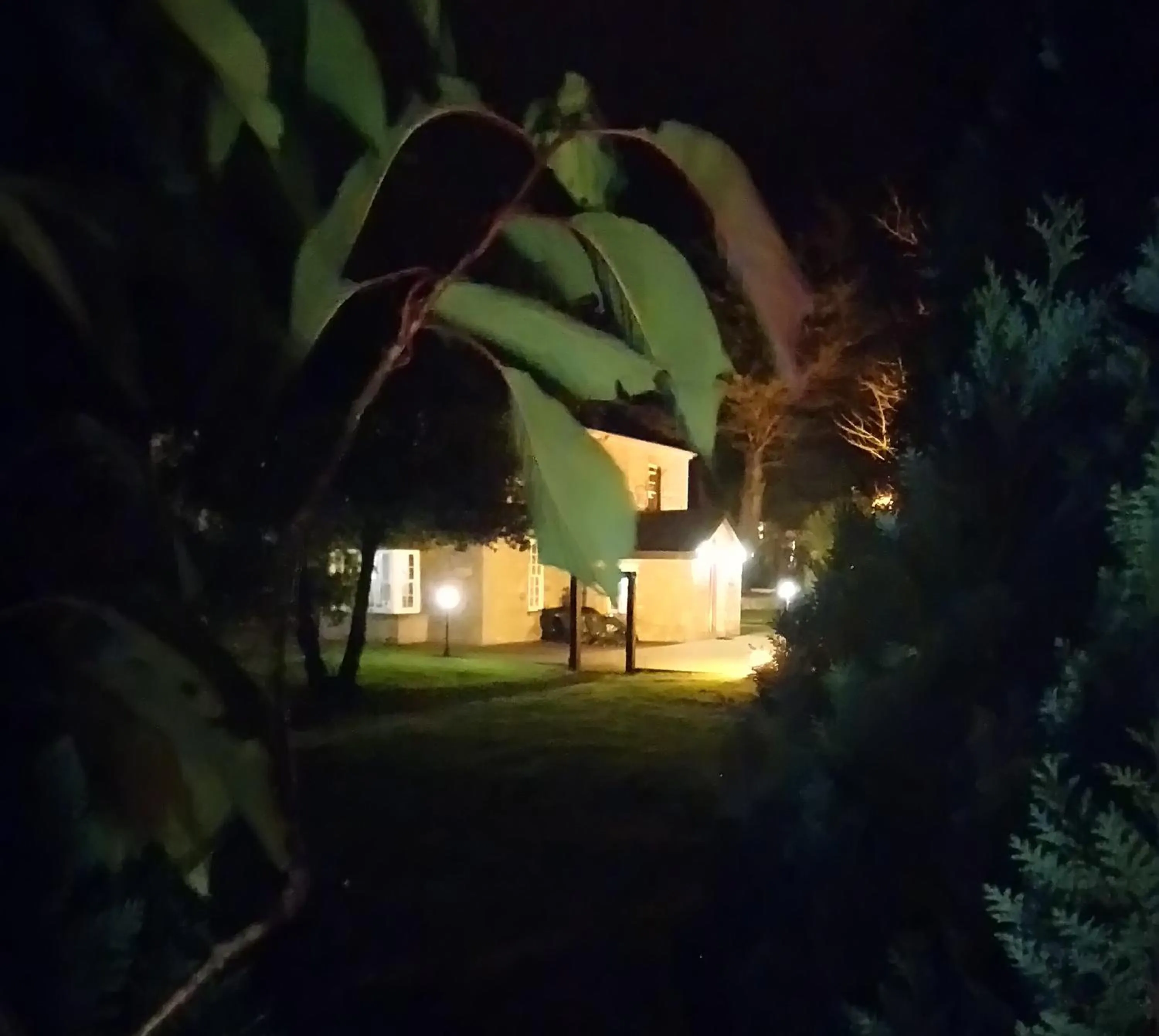 Garden in Knockaderry House