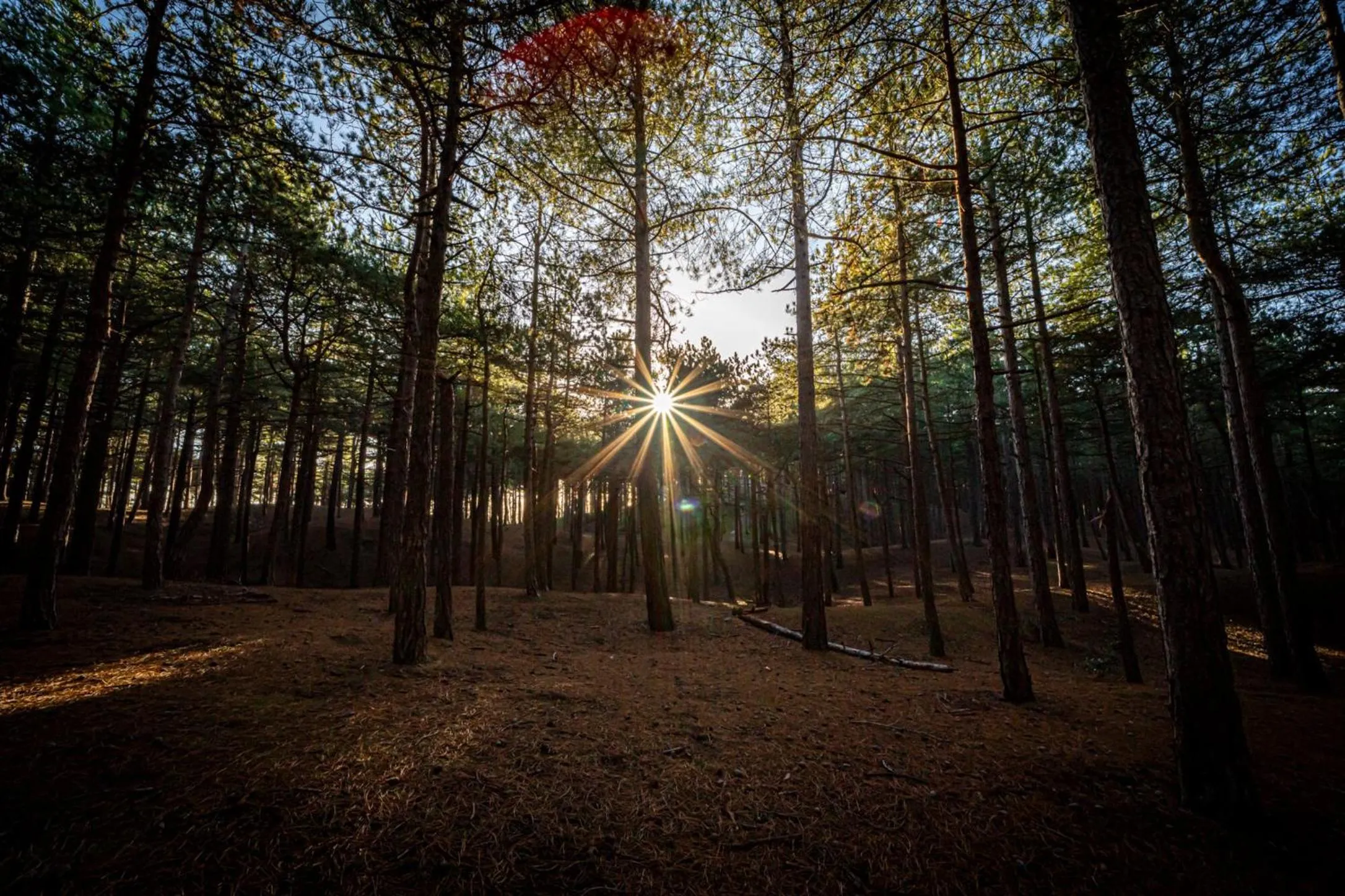 Strandstudio's Camperduin