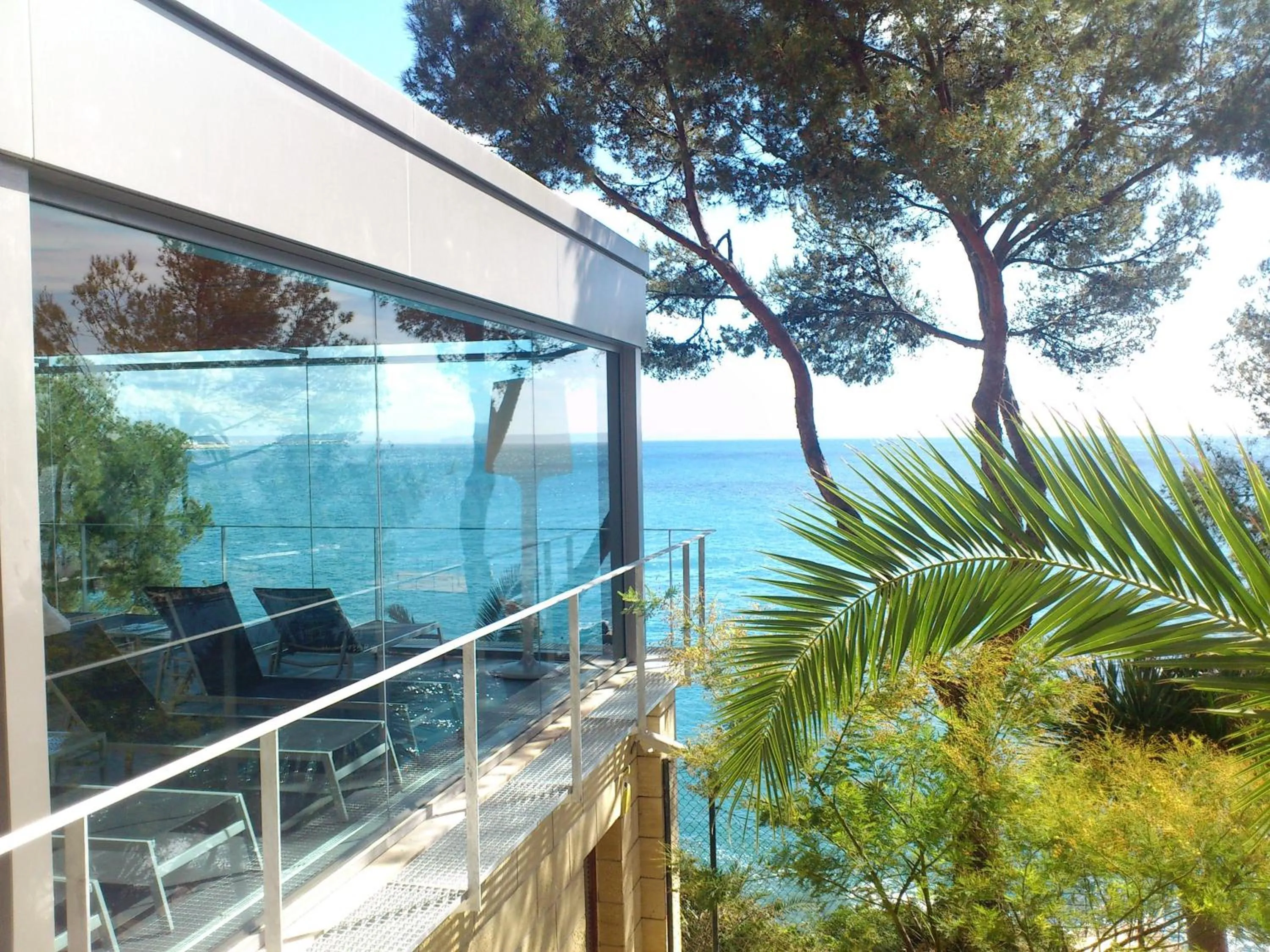 View (from property/room) in Palace Bonanza Playa Resort & SPA by Olivia Hotels Collection