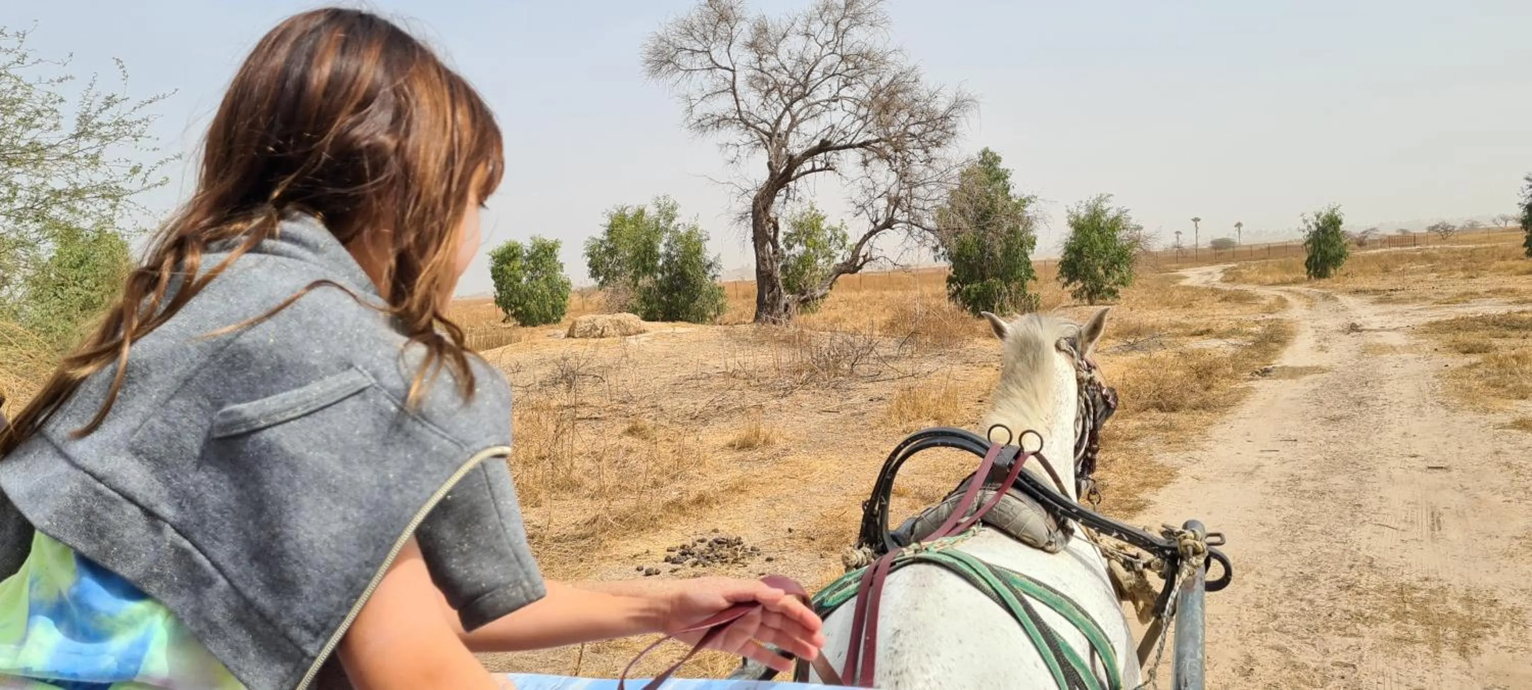 Children play ground in Campement Hakuna Lodge