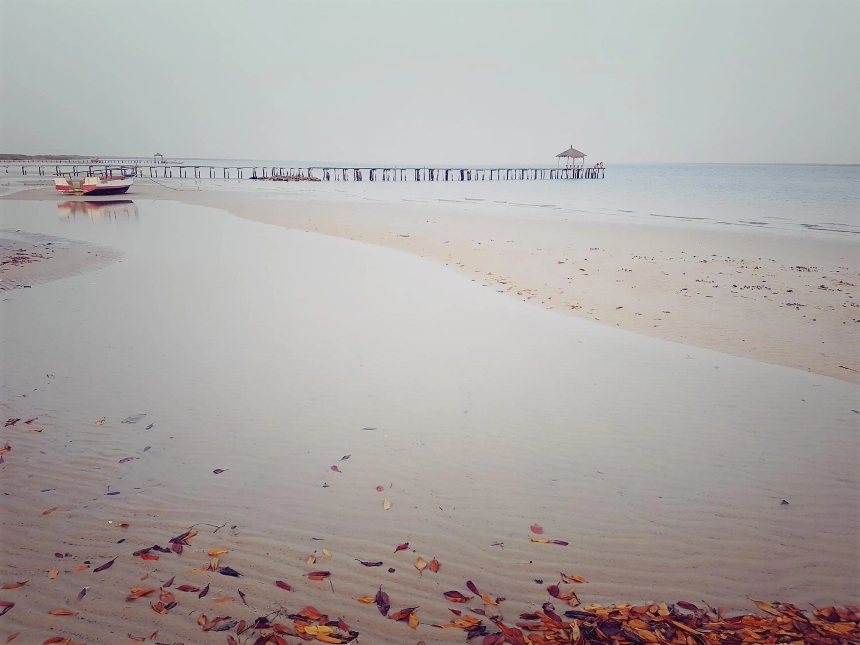 Garden in Campement Hakuna Lodge