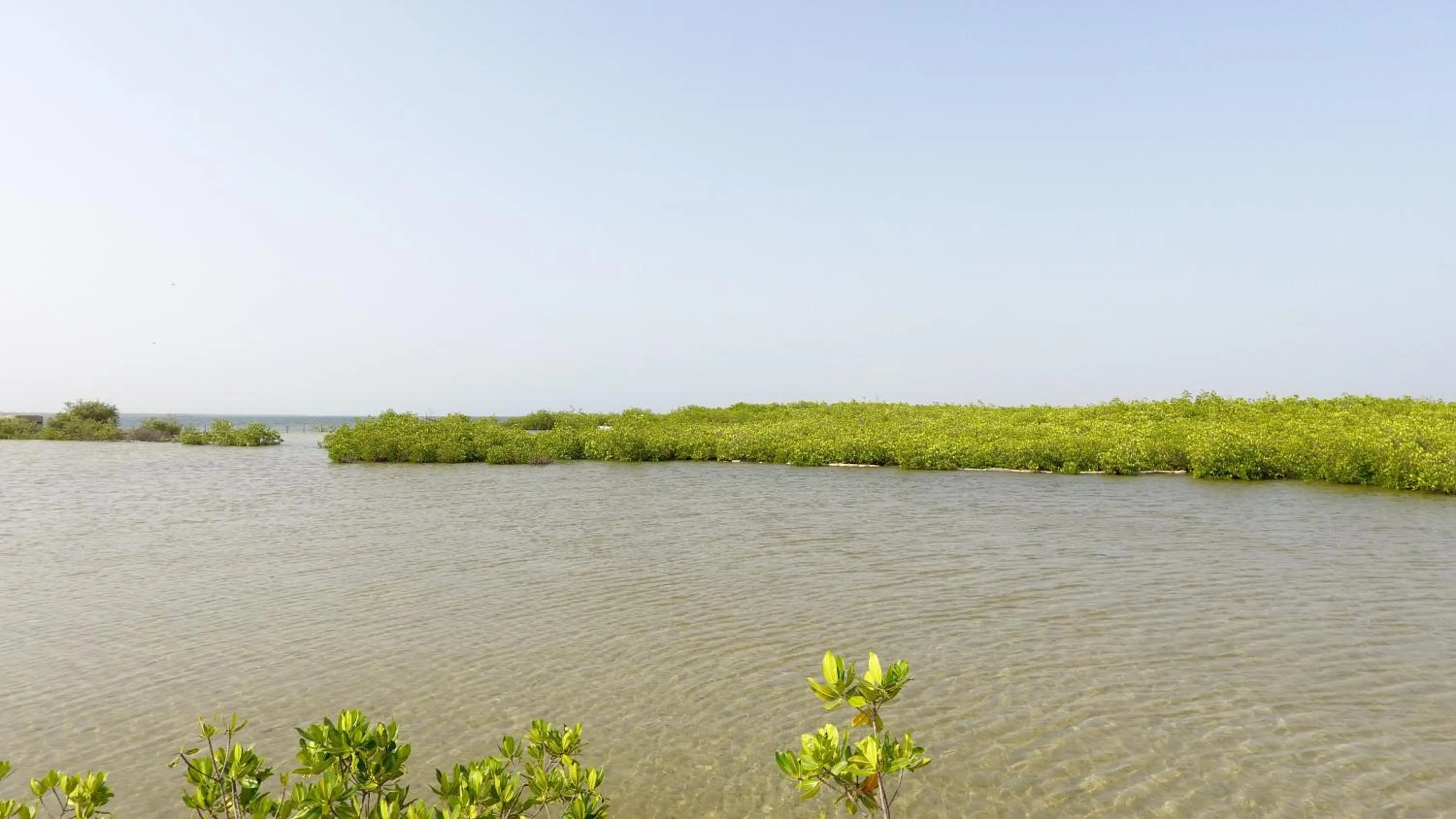 Natural landscape in Campement Hakuna Lodge