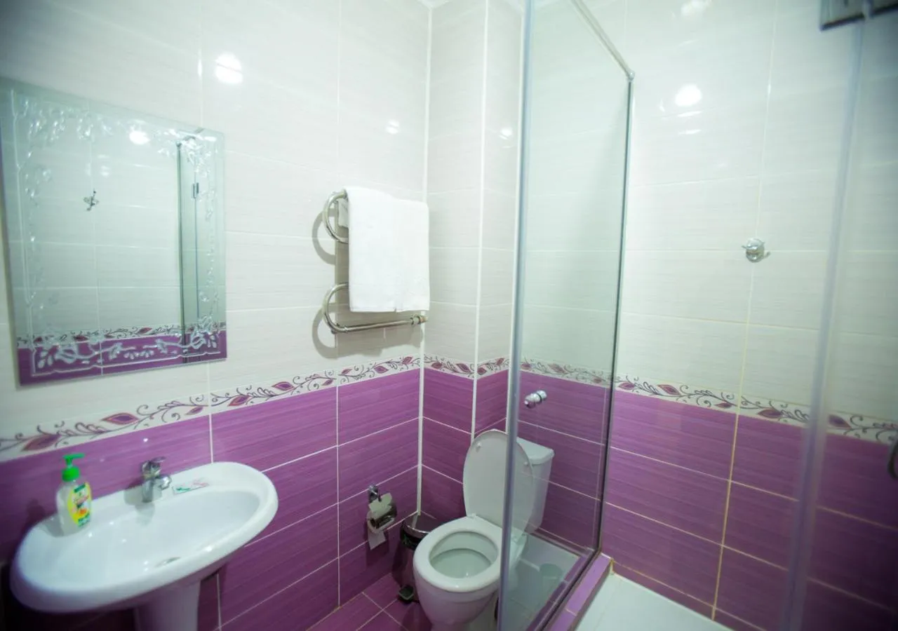 Bathroom in Hotel Alash