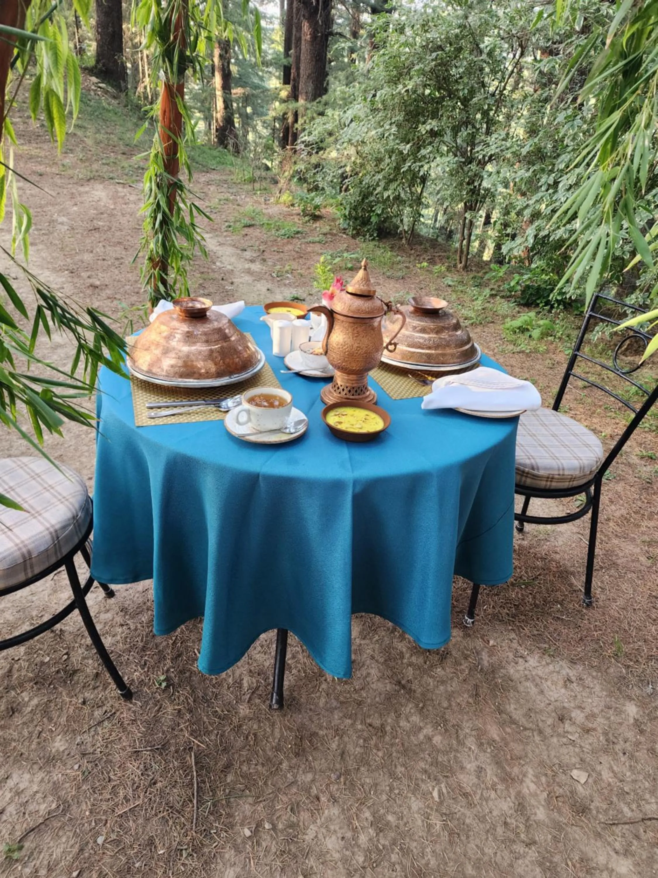 The Chalets Naldehra