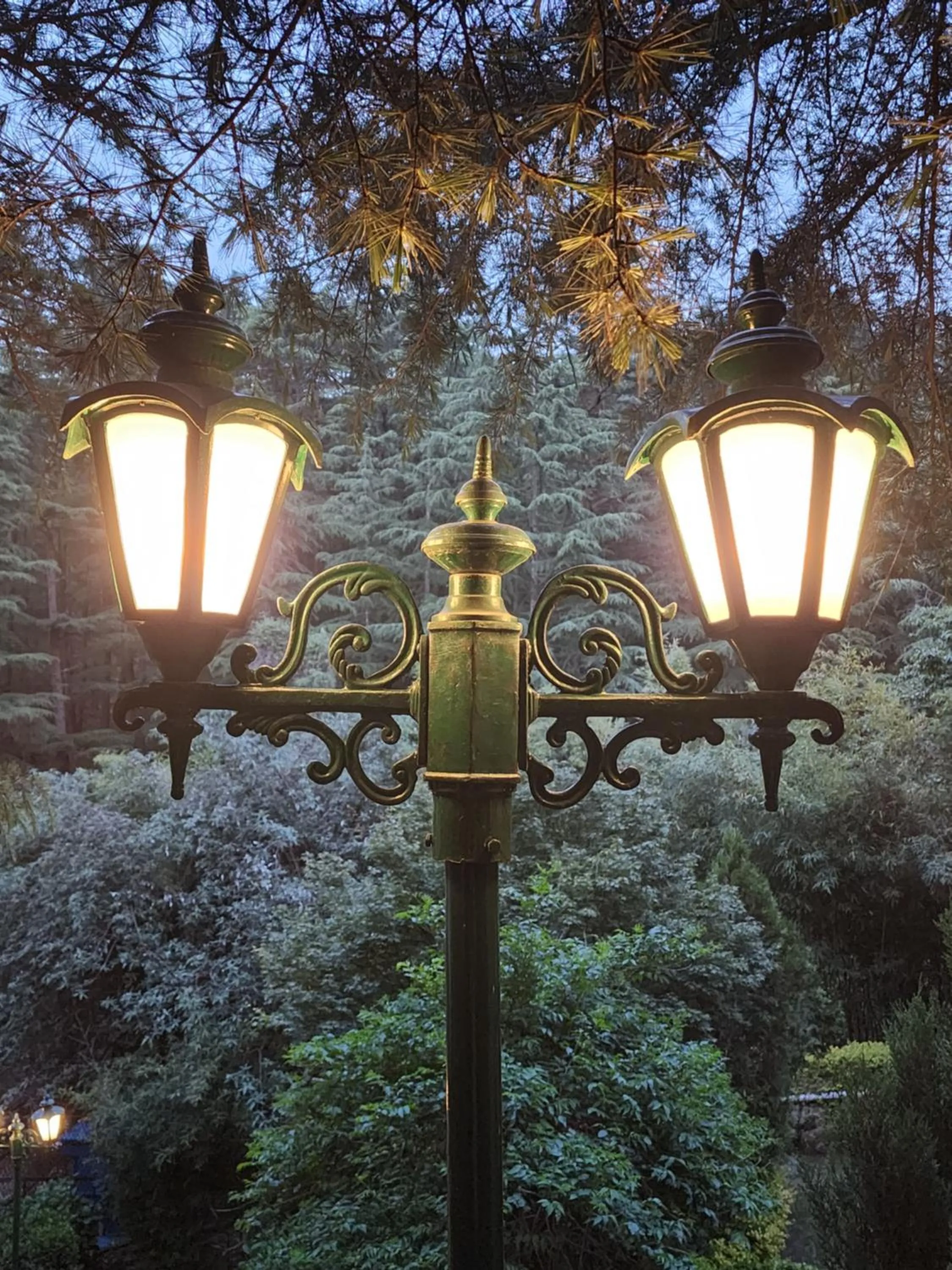 Day in The Chalets Naldehra