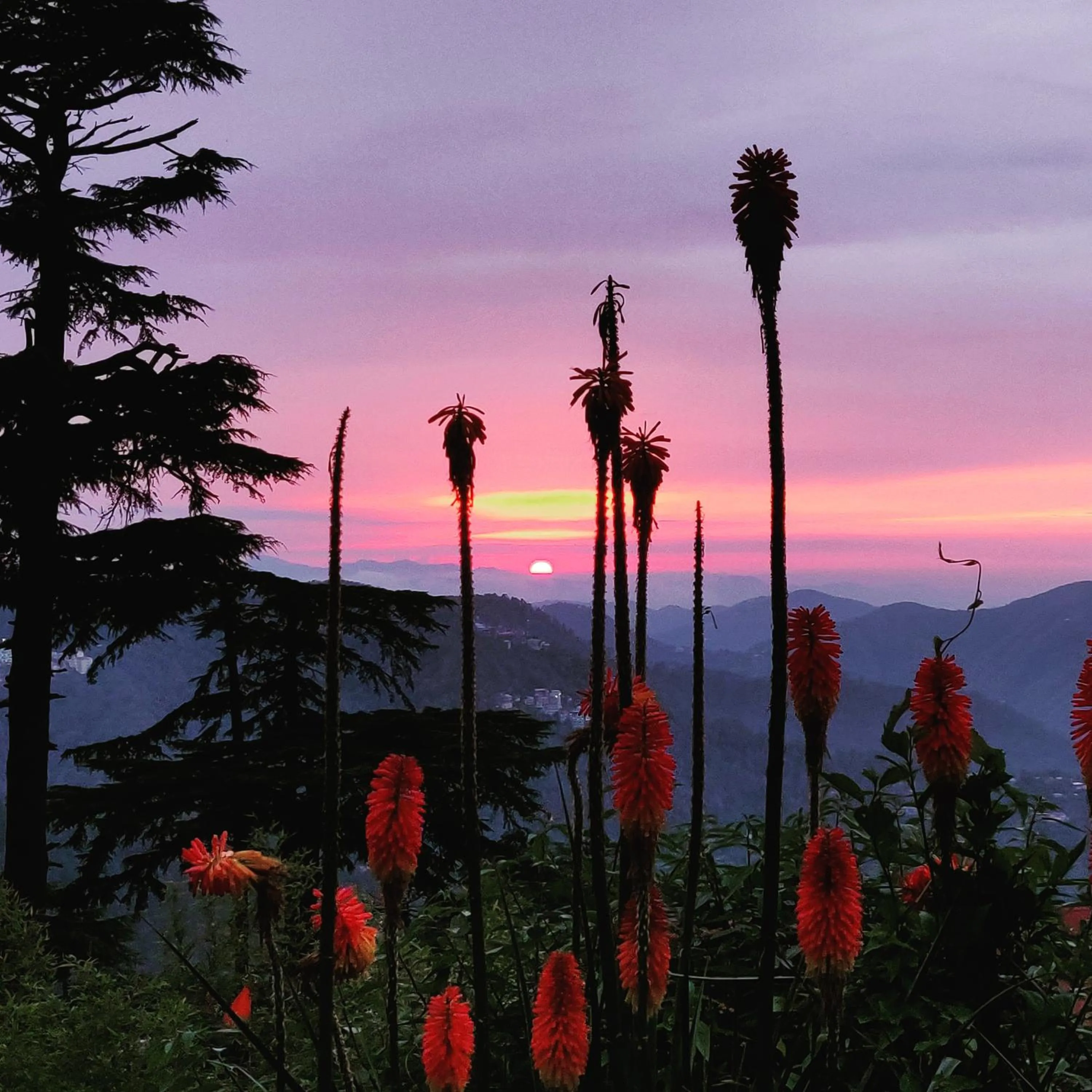 Natural landscape in The Chalets Naldehra
