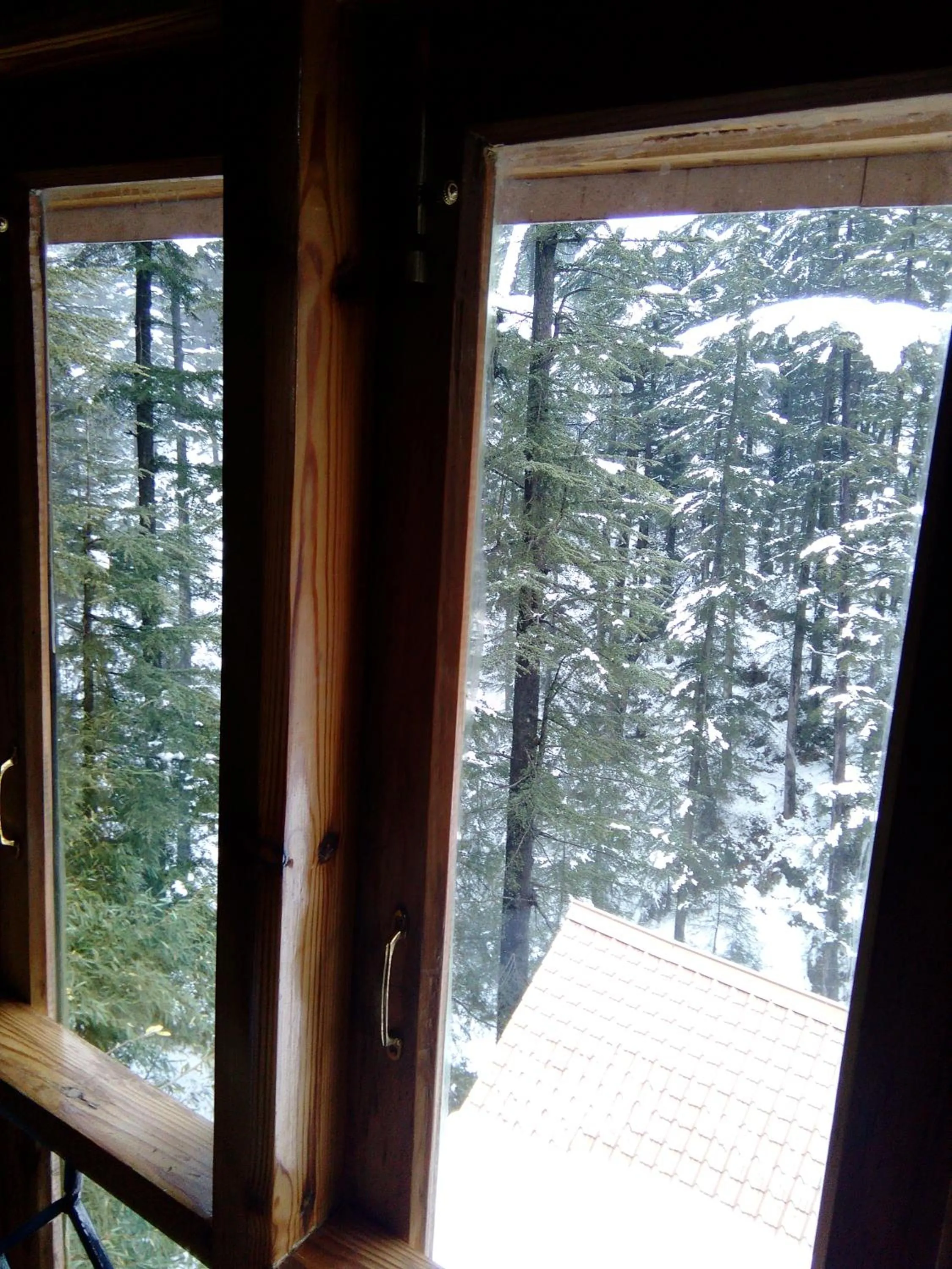 Winter in The Chalets Naldehra