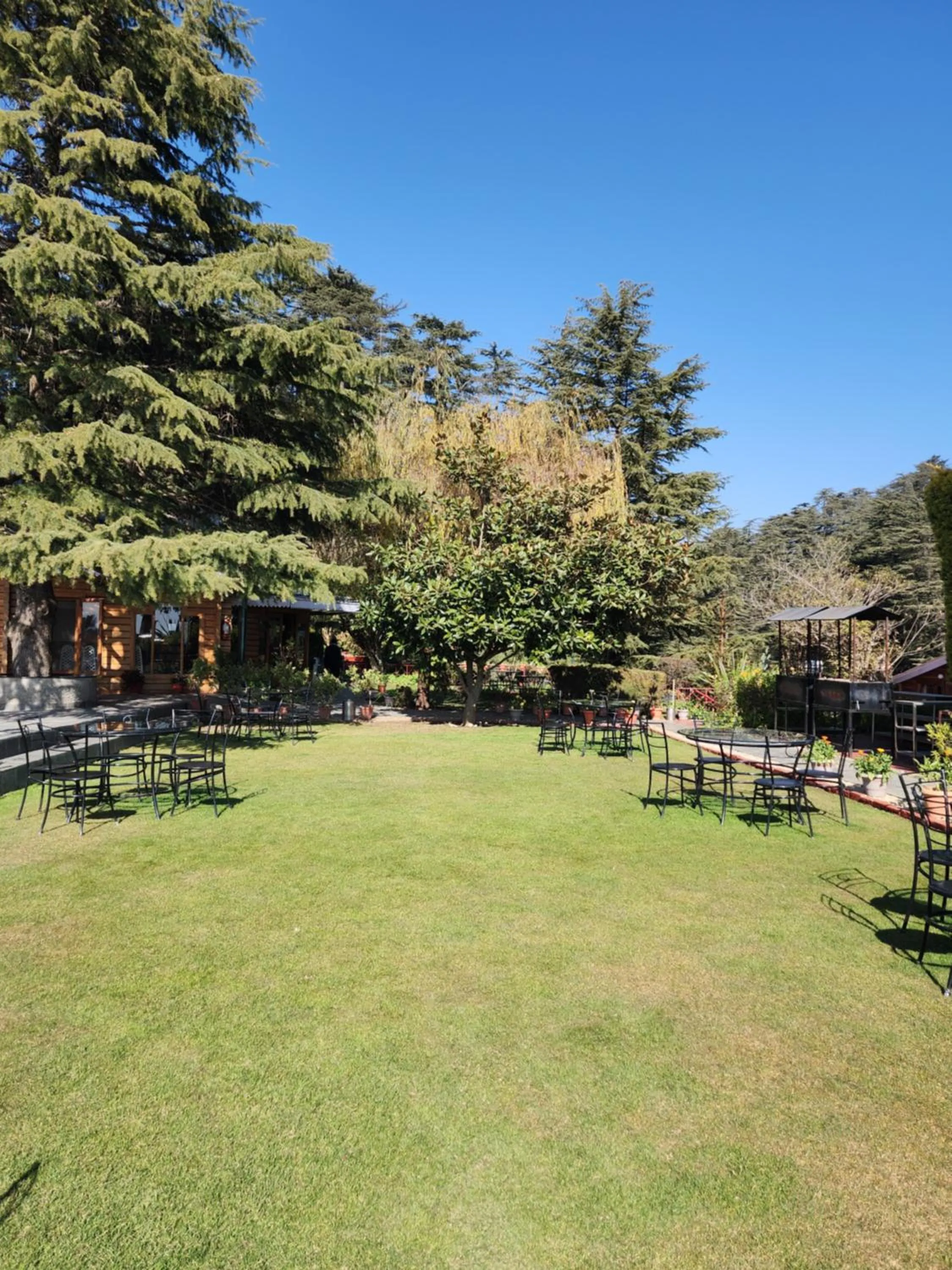 The Chalets Naldehra