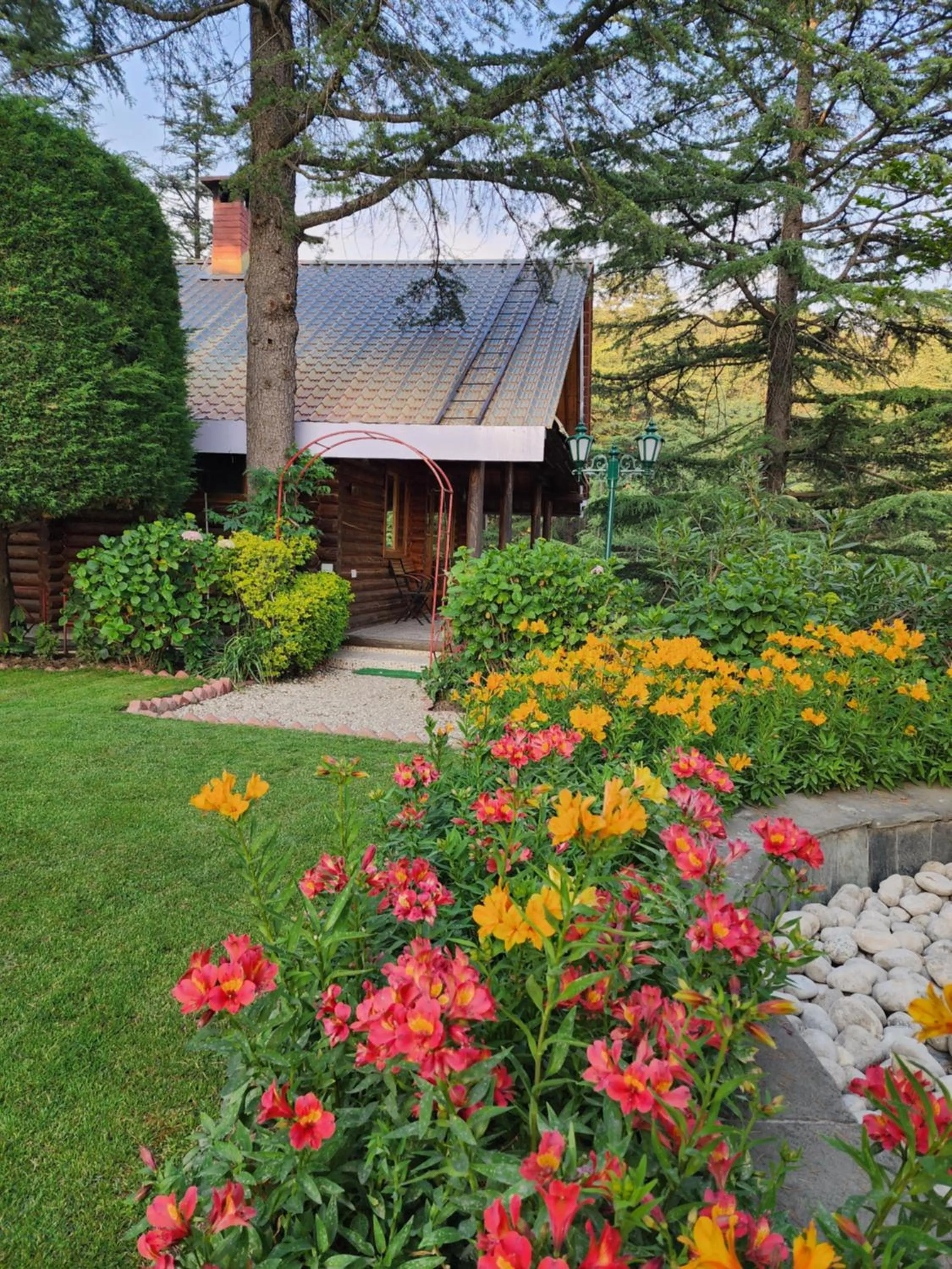 The Chalets Naldehra