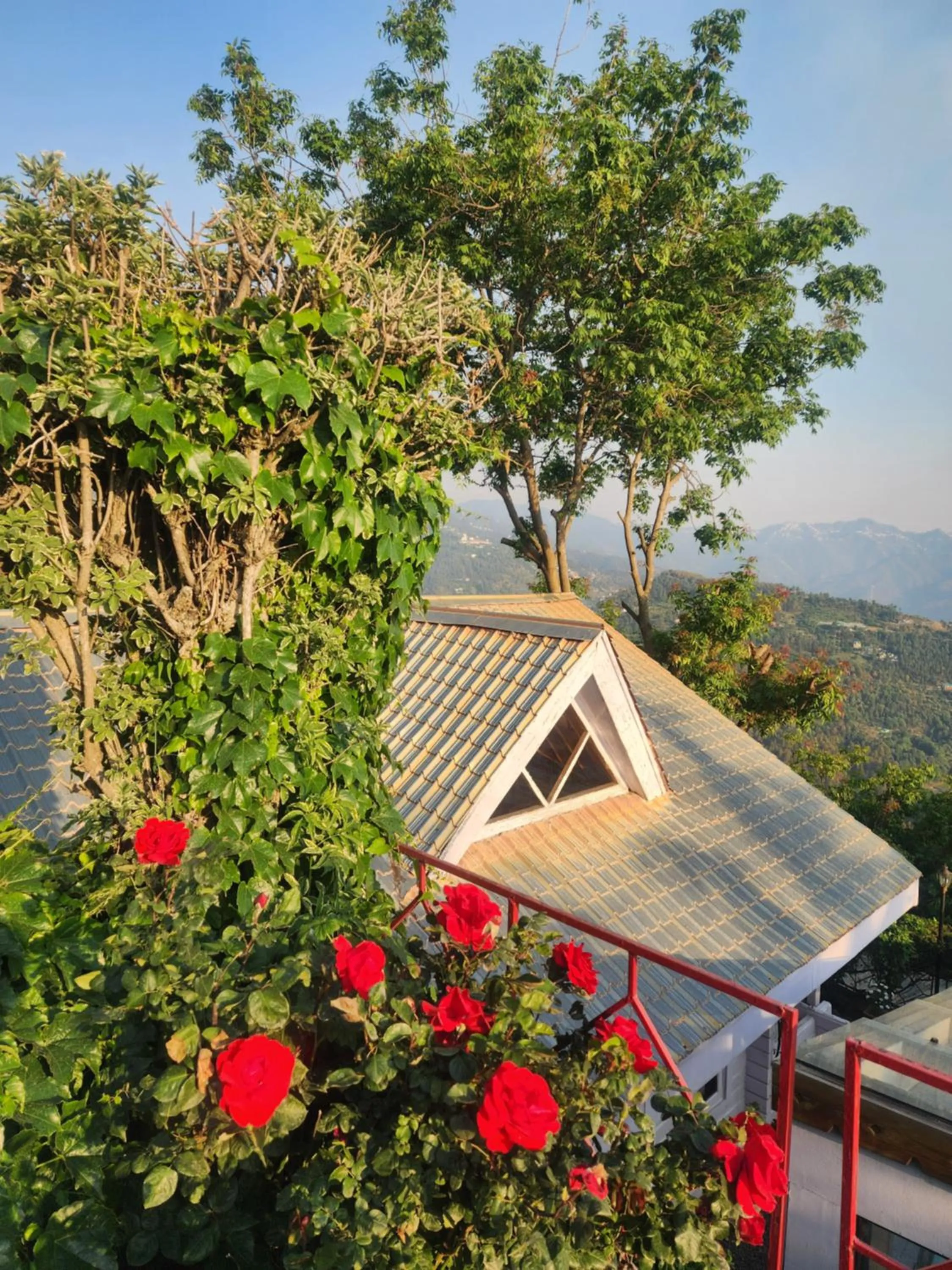 The Chalets Naldehra