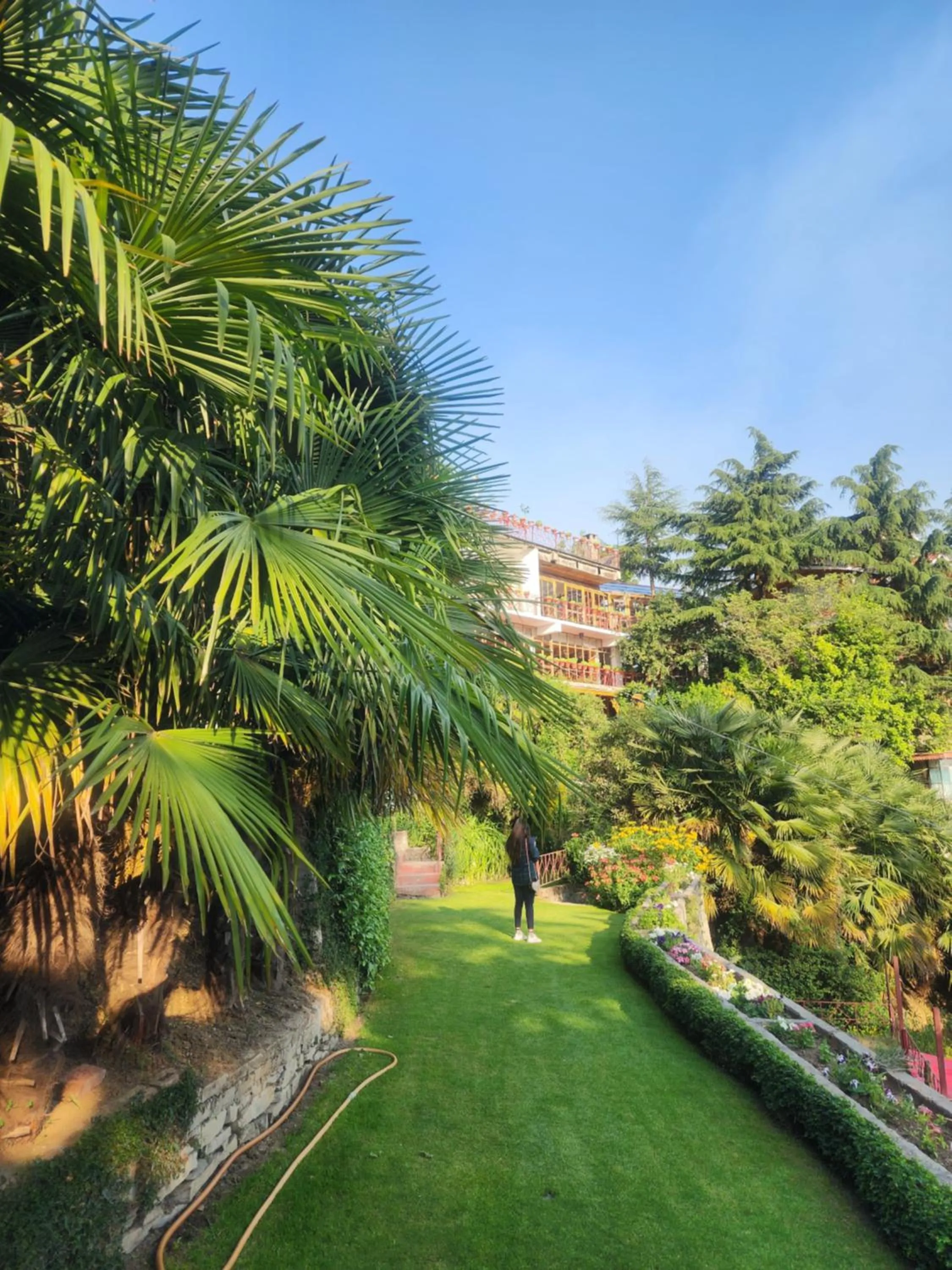 The Chalets Naldehra