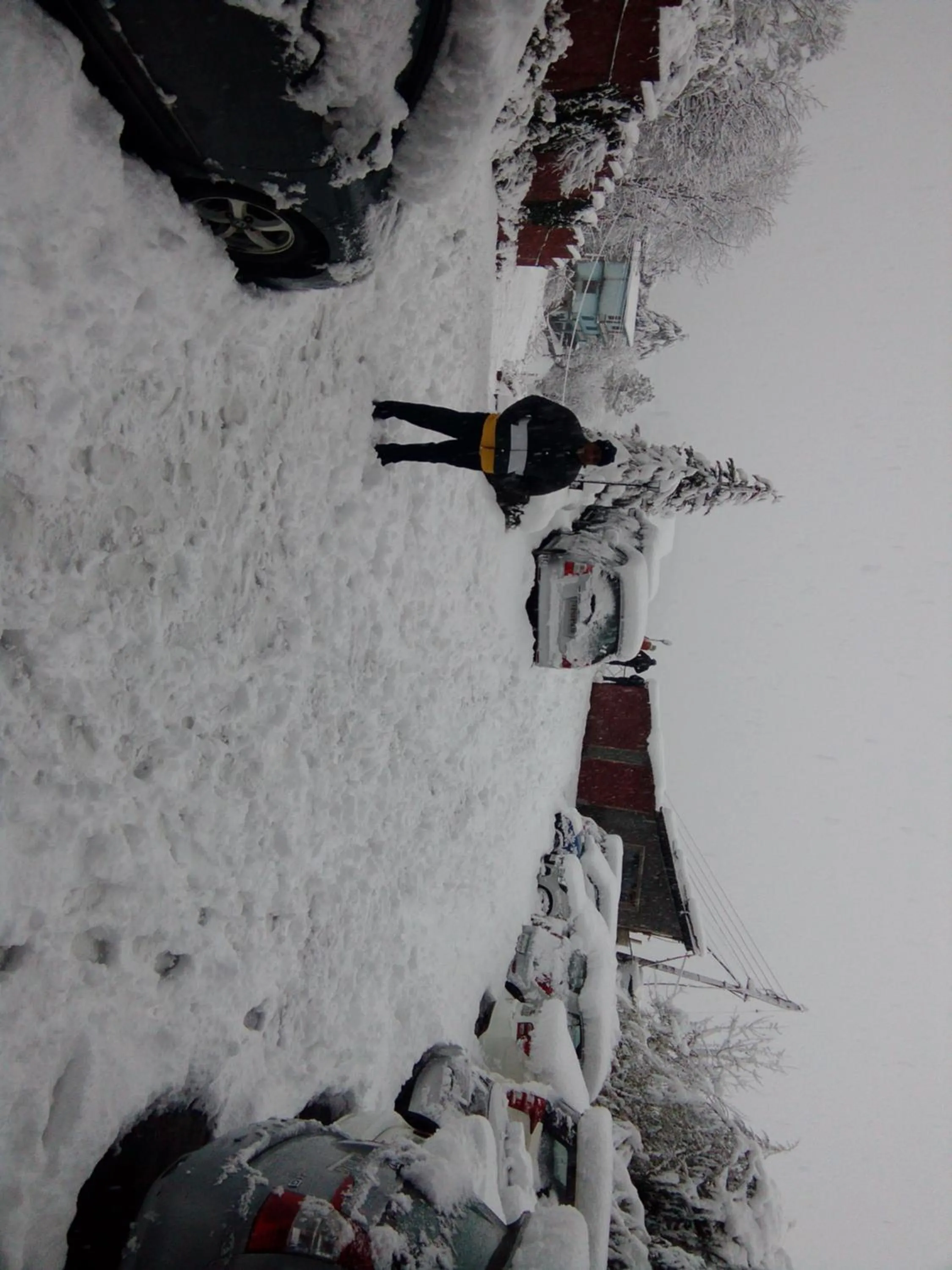 Natural landscape in The Chalets Naldehra