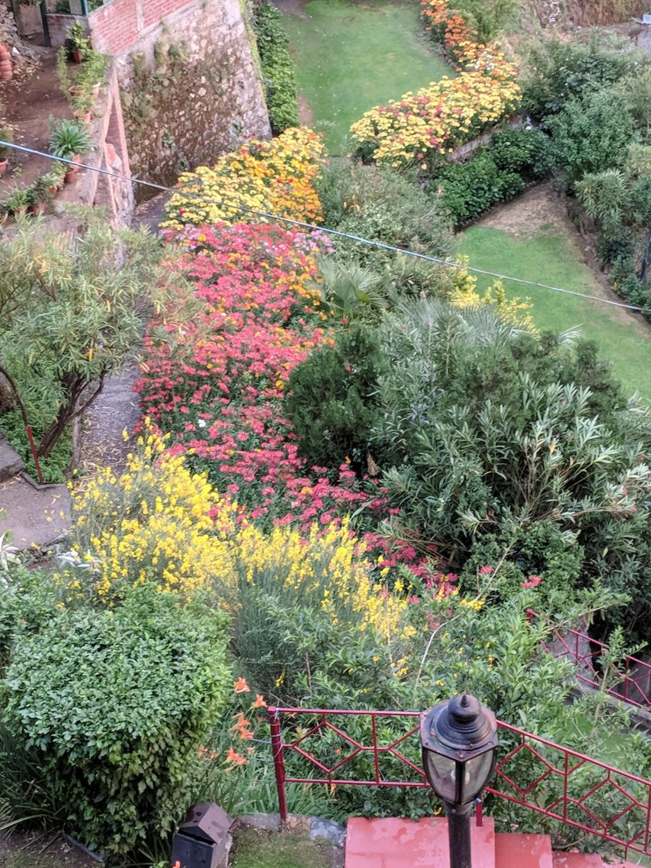 The Chalets Naldehra