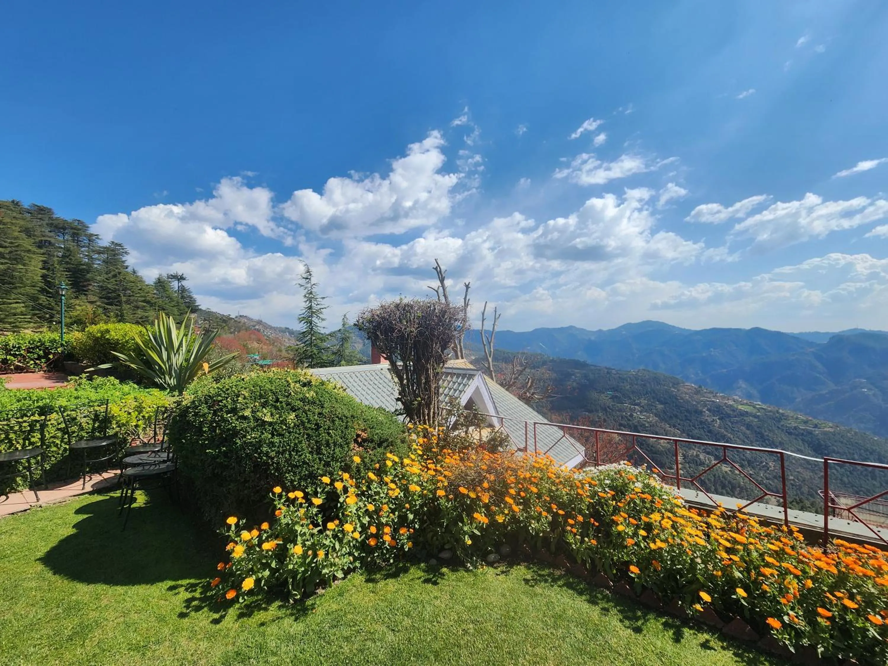 The Chalets Naldehra