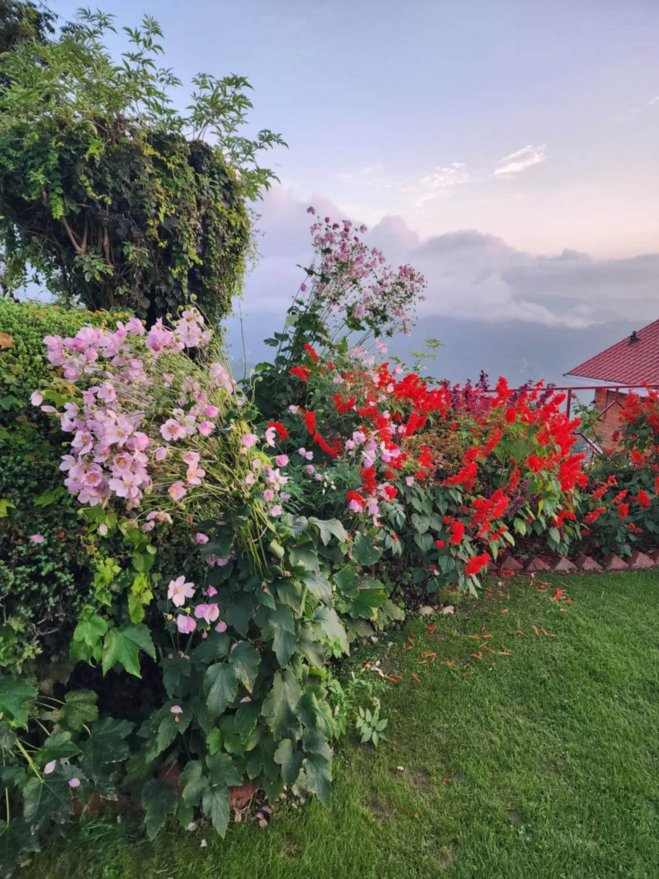 The Chalets Naldehra