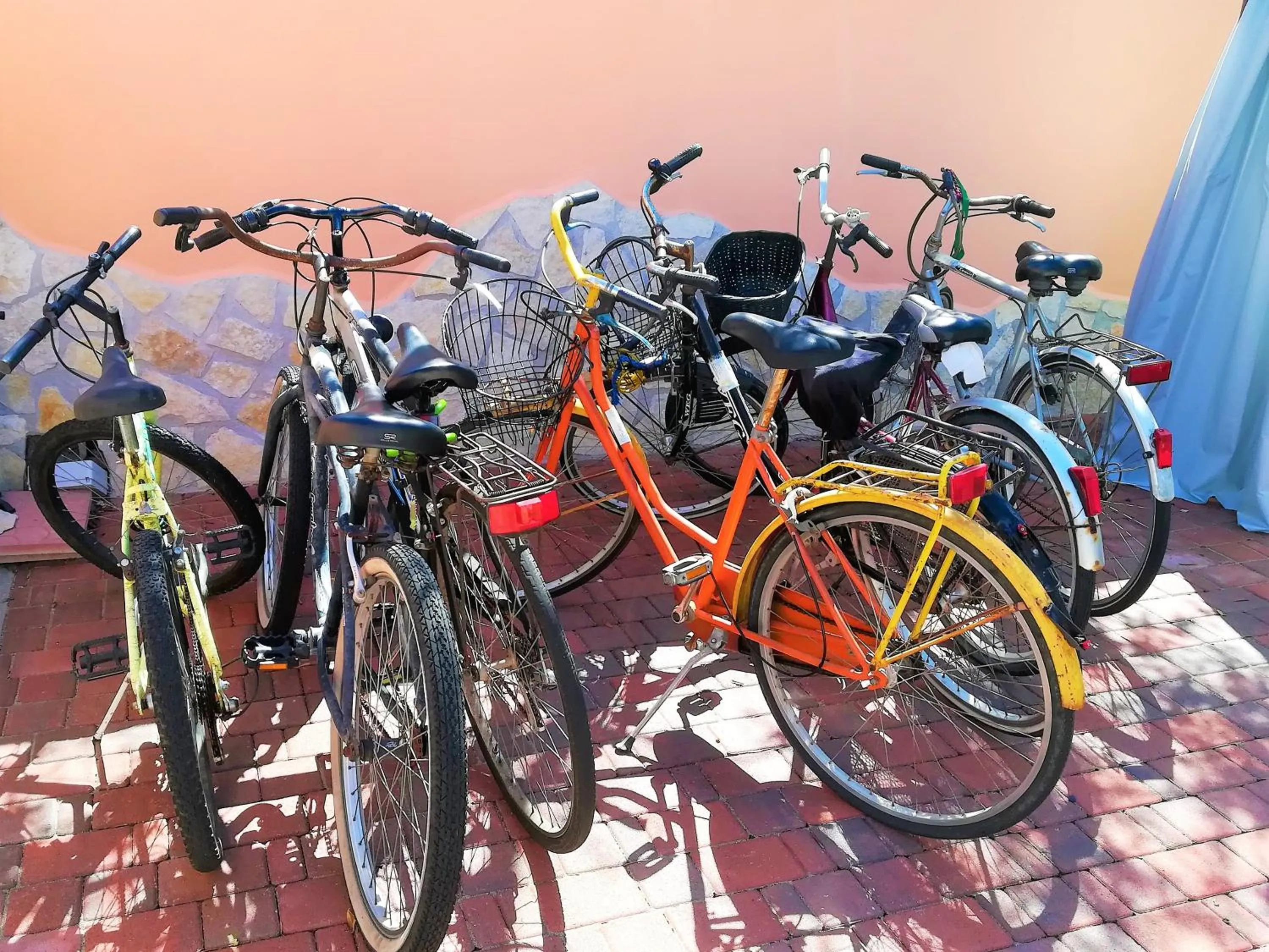 Cycling in B&B Villa Jasiga